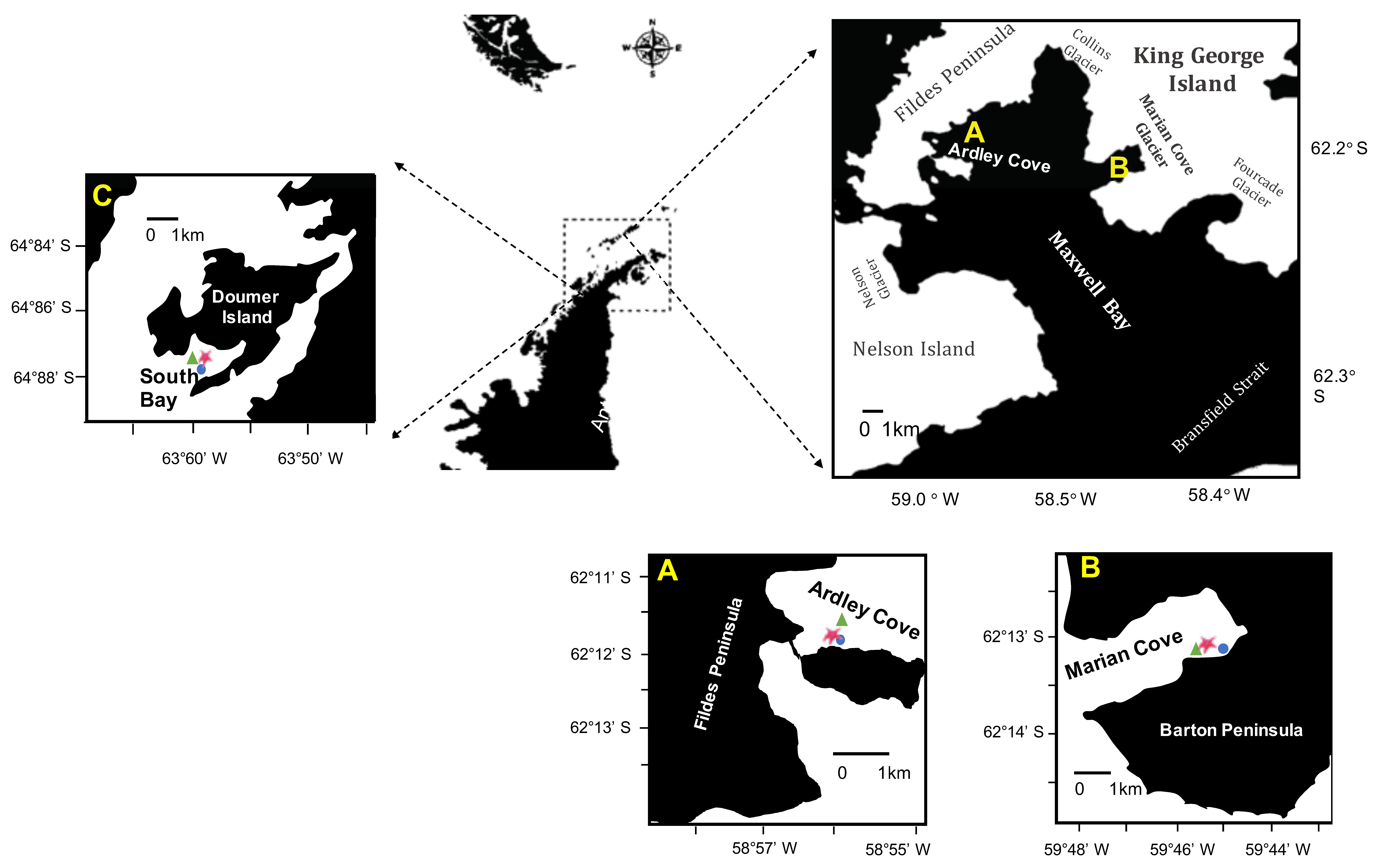 Biology 11 01723 g001 Biology 11 01723 g001
