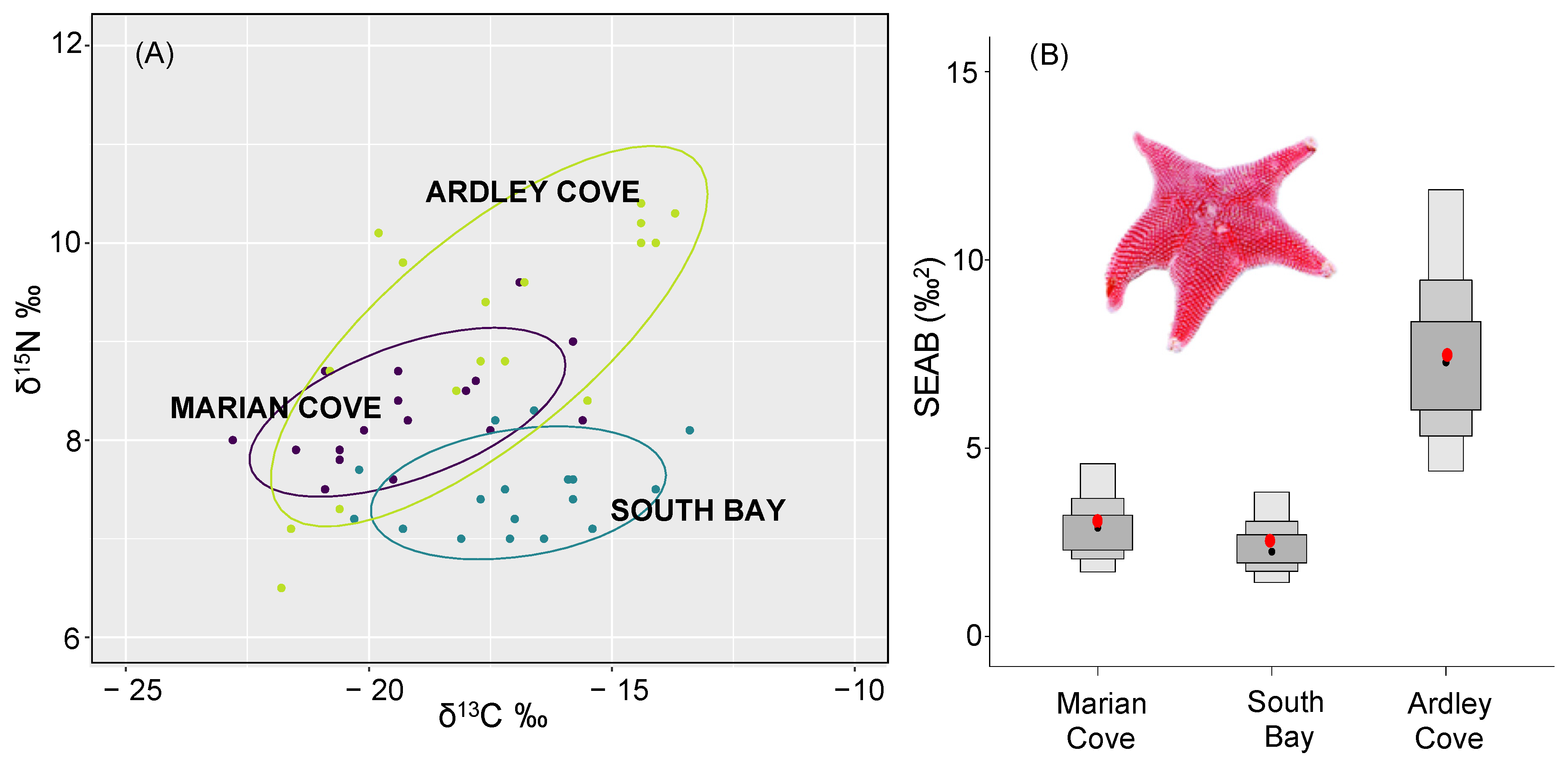 Biology 11 01723 g003 Biology 11 01723 g003