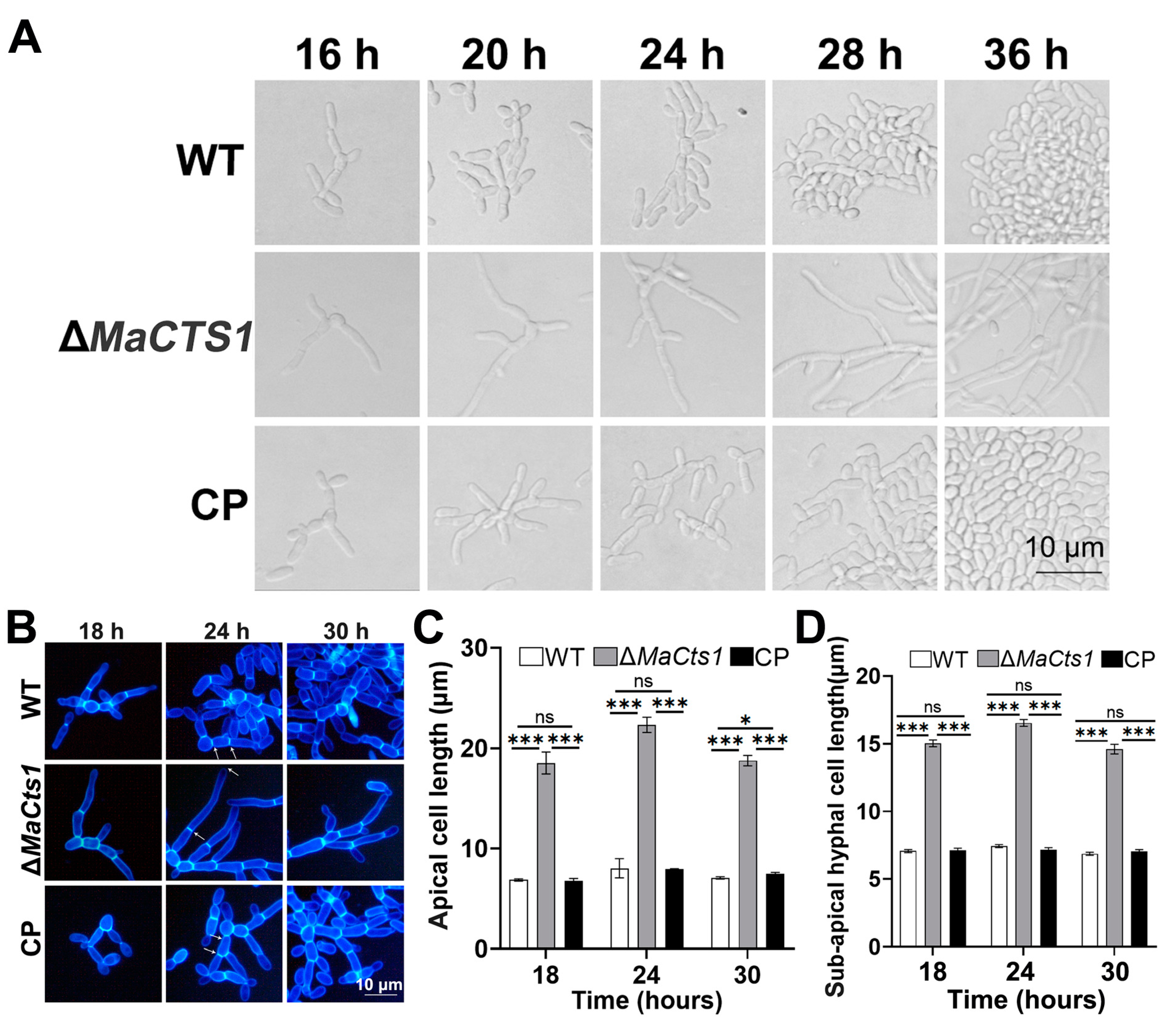 Biology 11 01730 g004 Biology 11 01730 g004