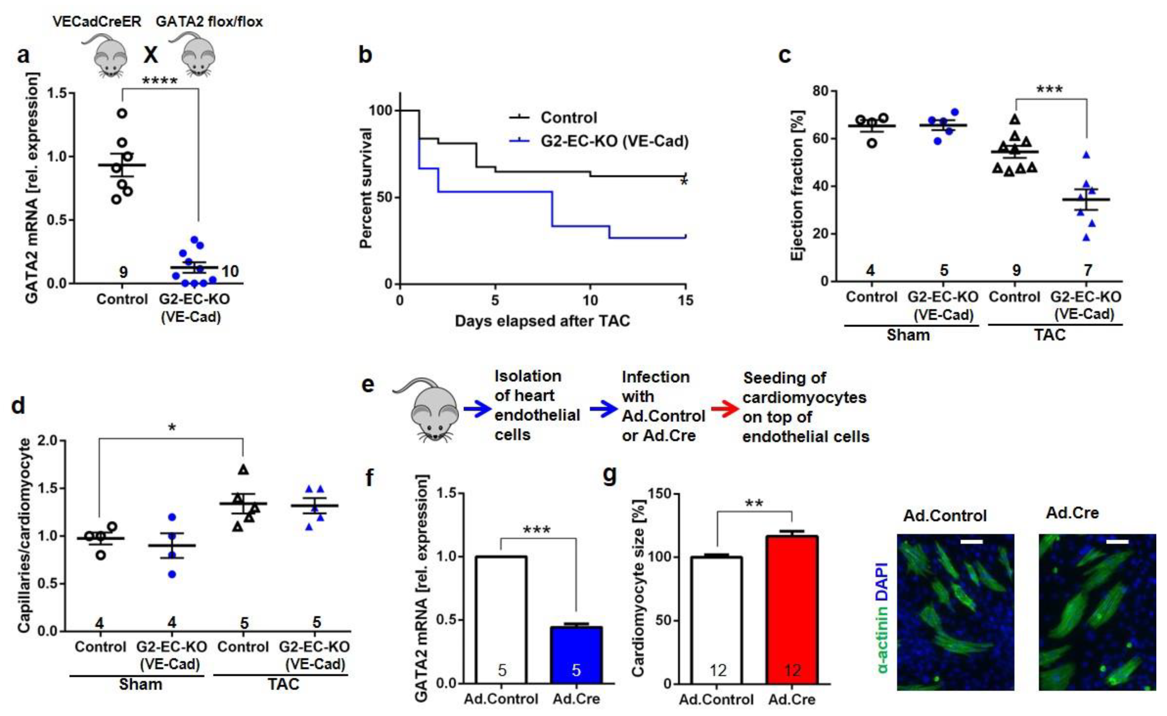 Biology 11 01736 g003
