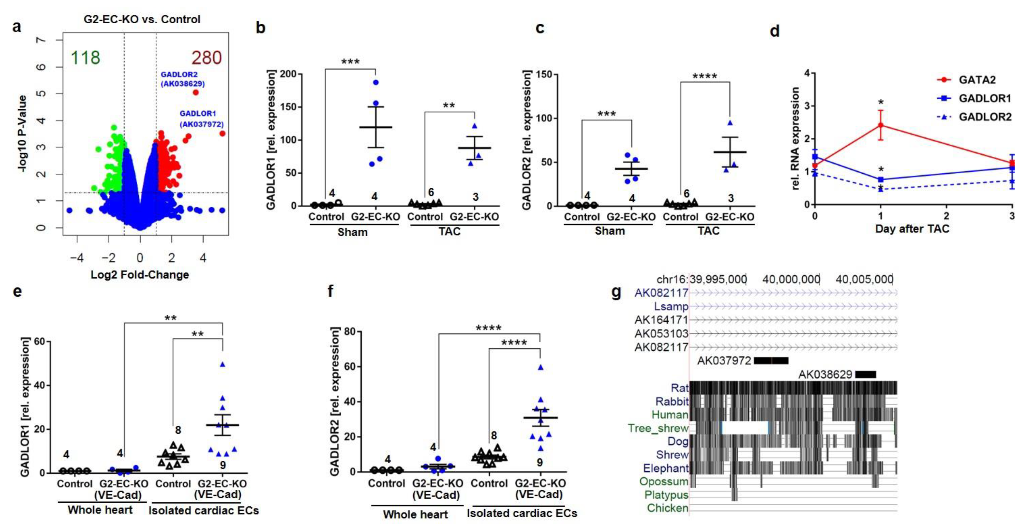 Biology 11 01736 g005