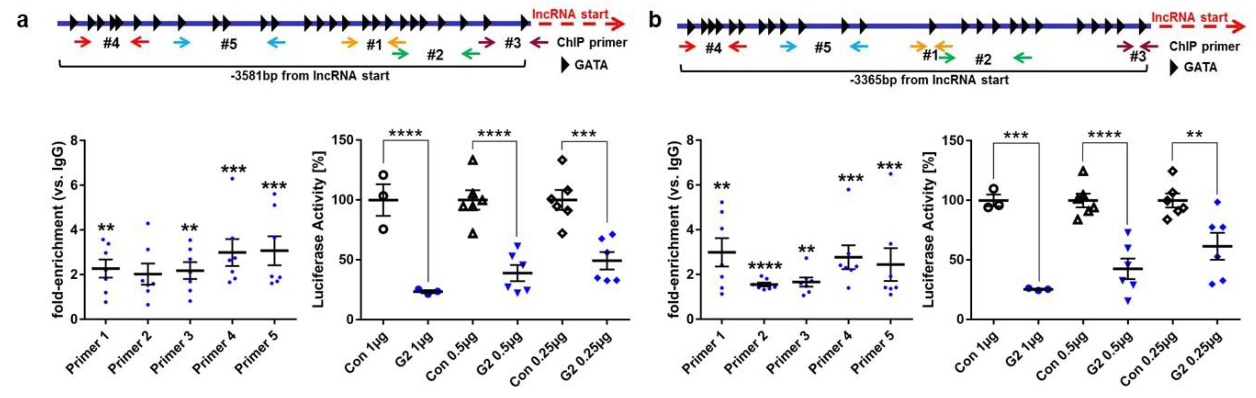 Biology 11 01736 g006