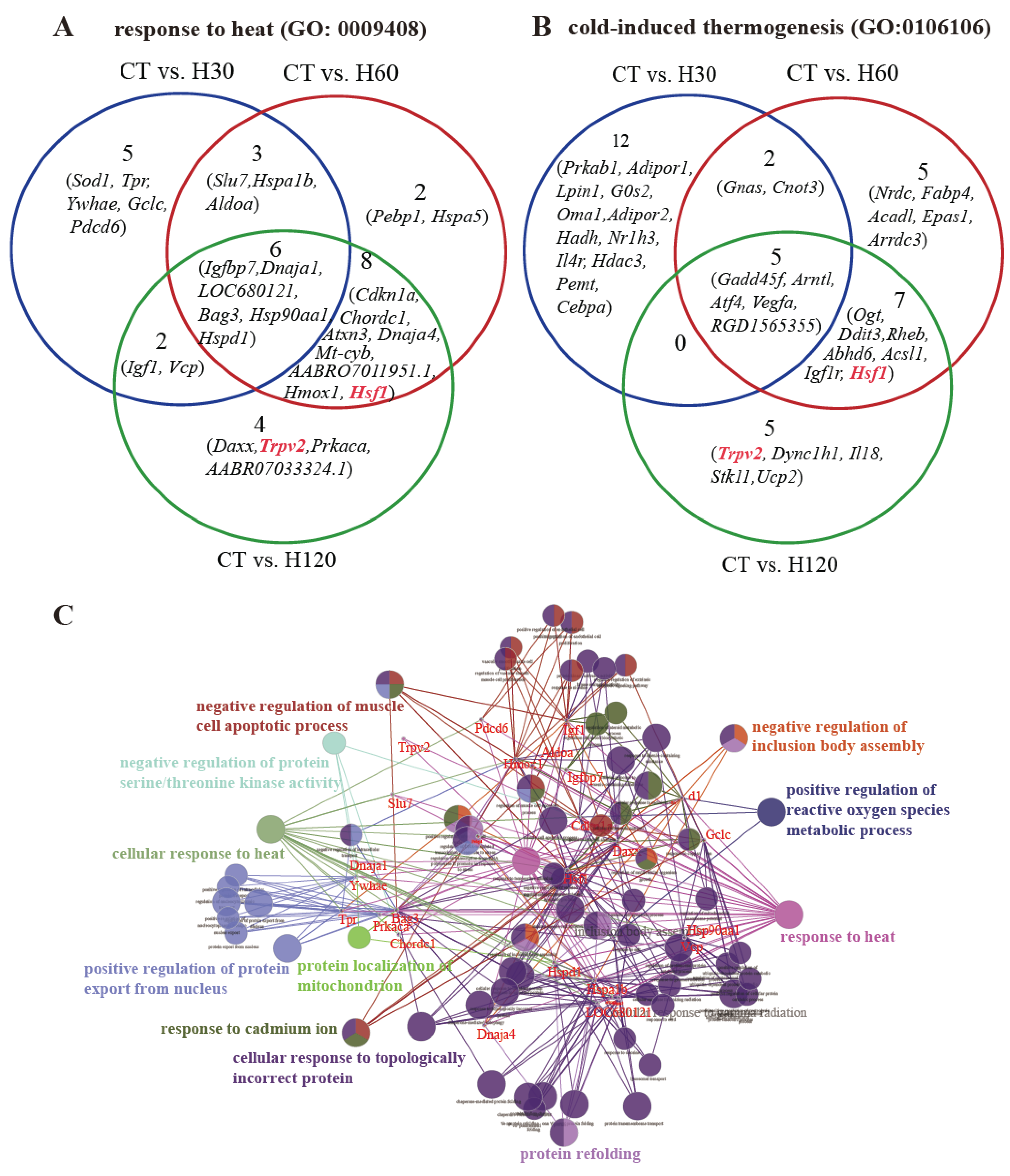 Biology 11 01740 g004a Biology 11 01740 g004a