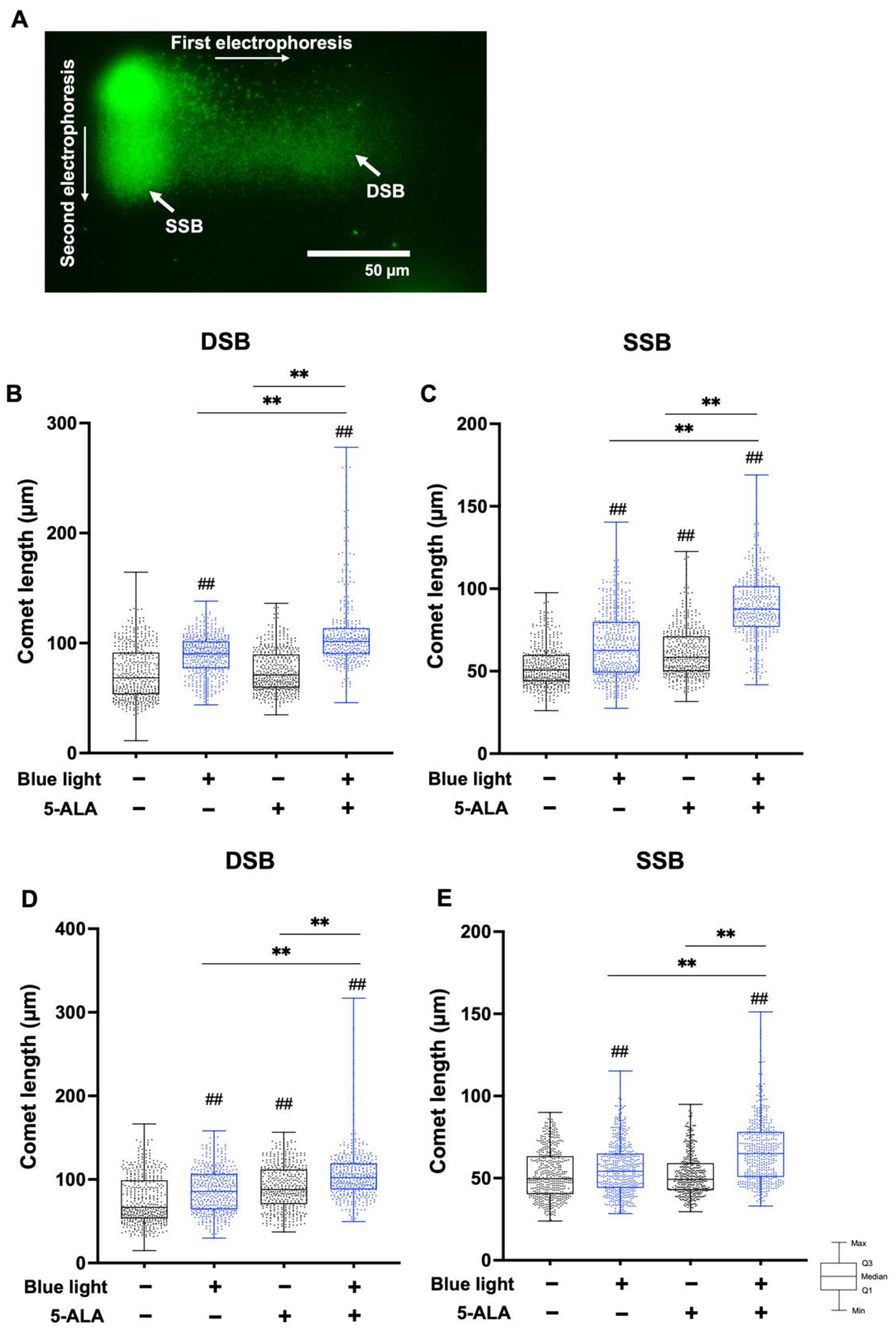 Biology 11 01743 g006 Biology 11 01743 g006