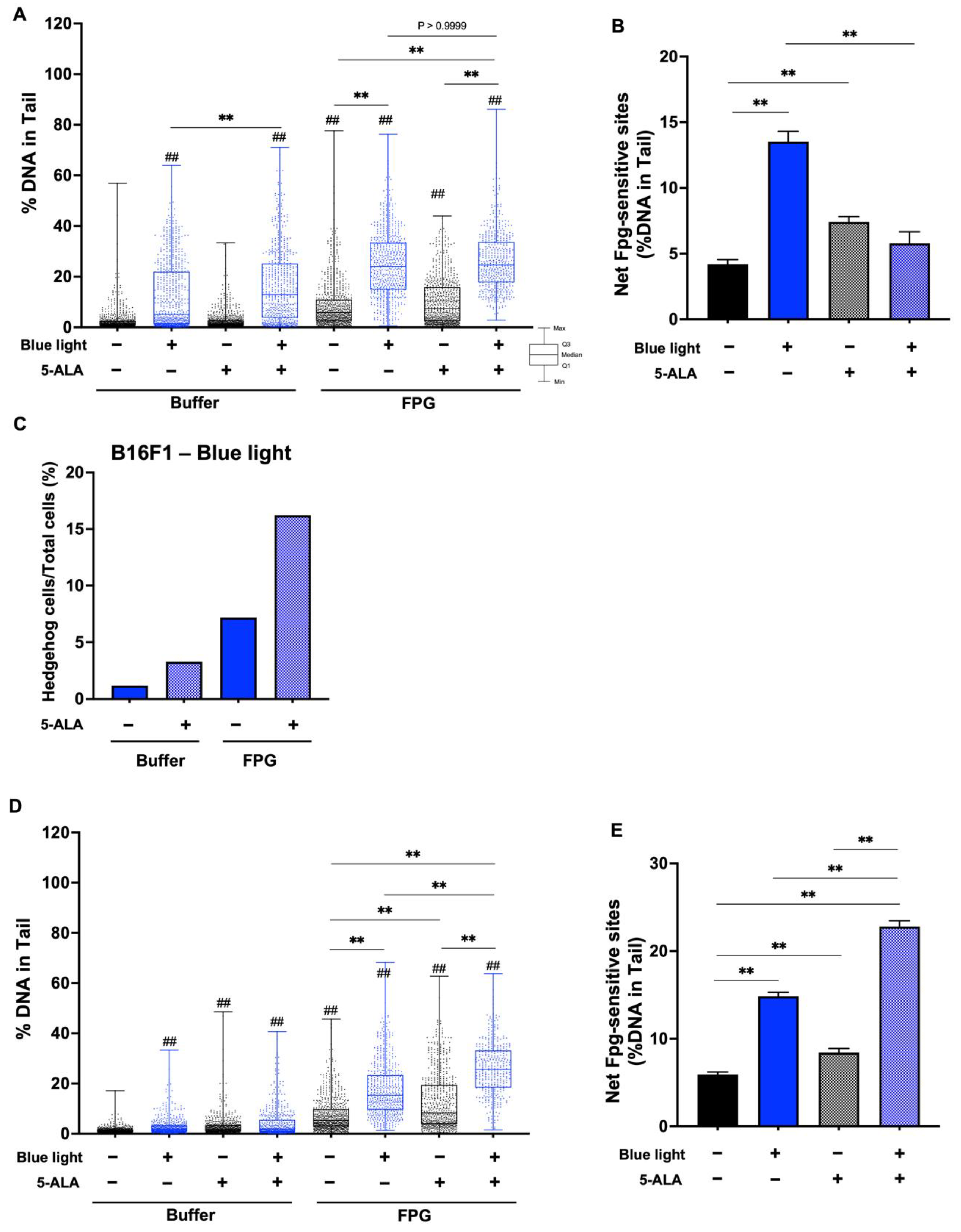 Biology 11 01743 g007 Biology 11 01743 g007