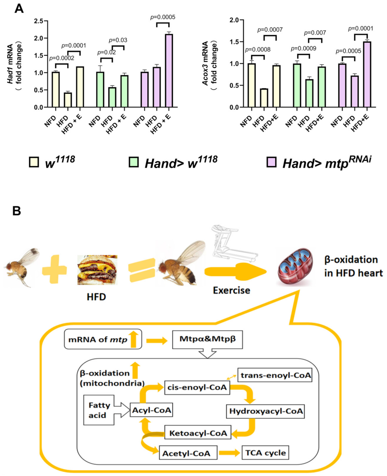Biology 11 01745 g007