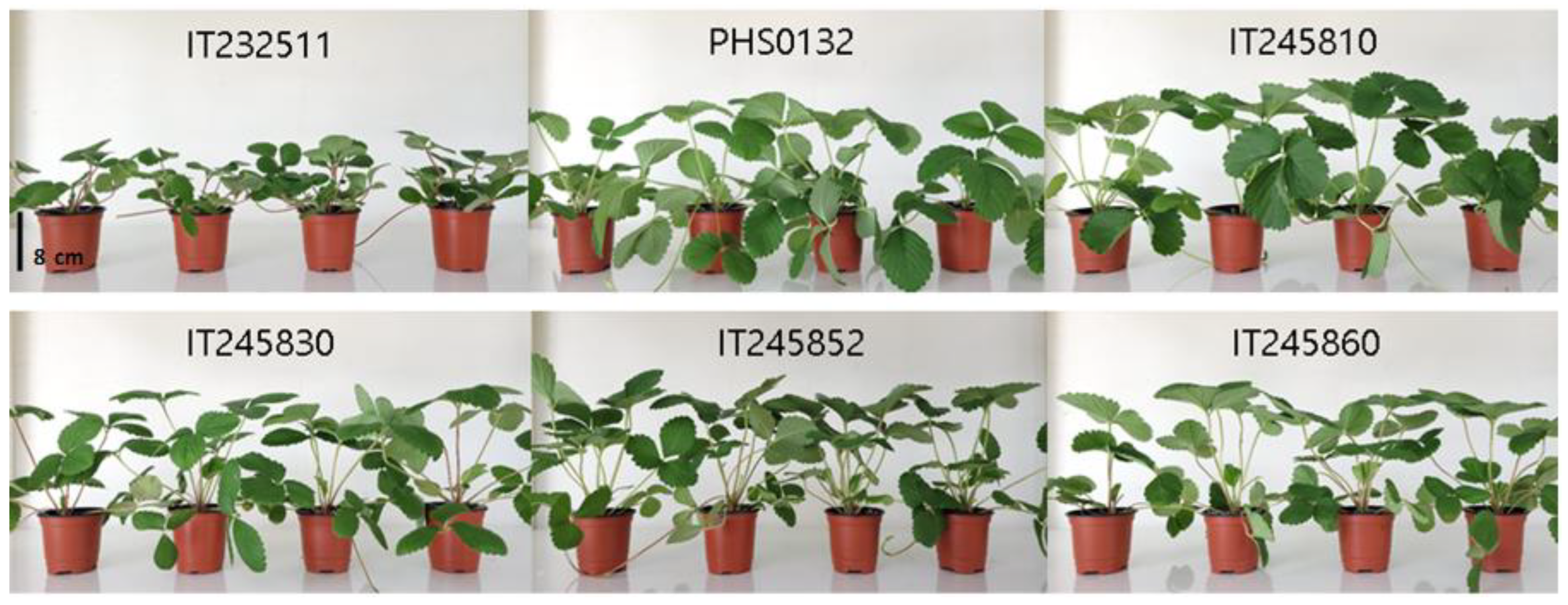 Biology 11 01746 g002