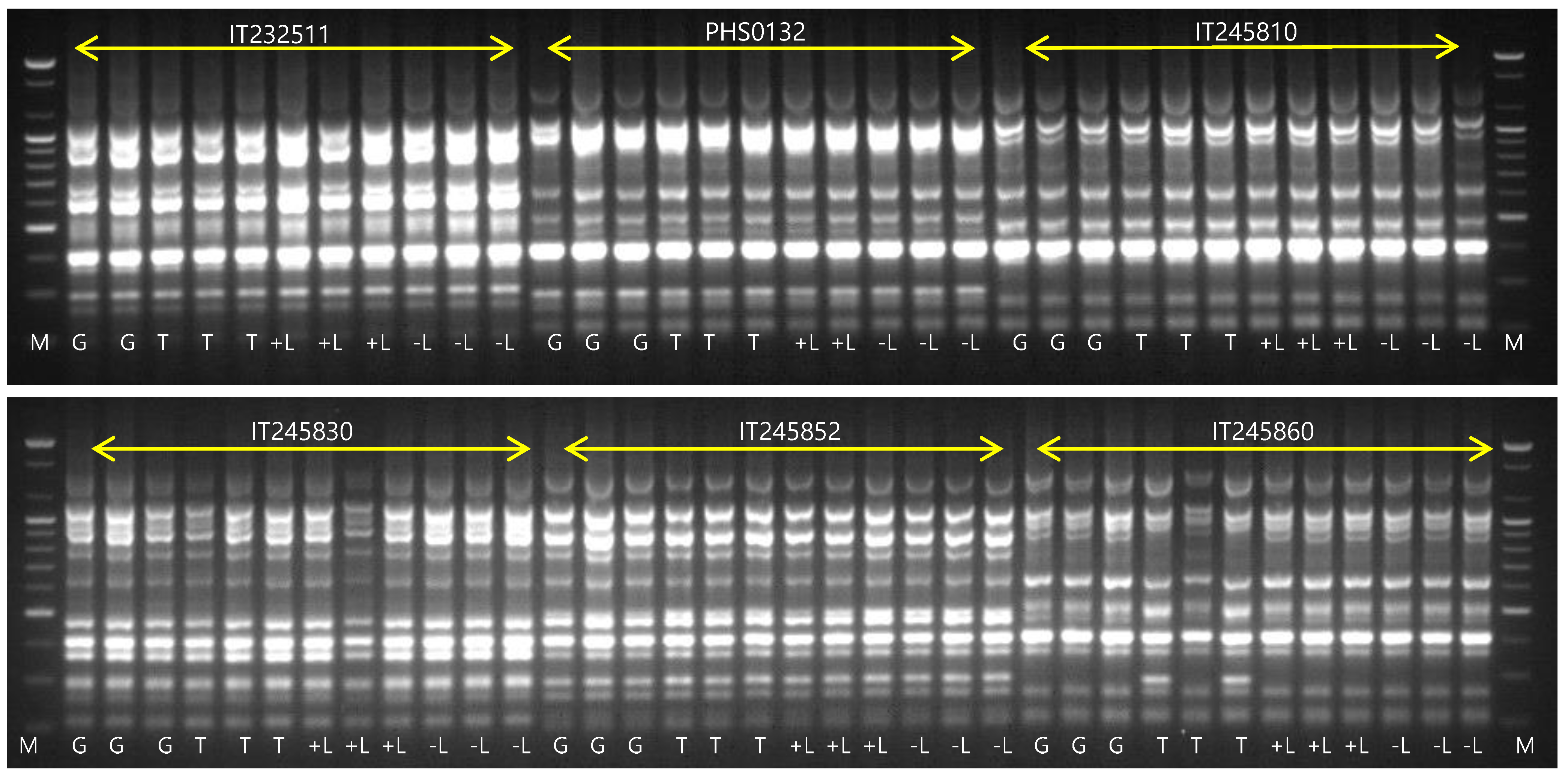 Biology 11 01746 g003