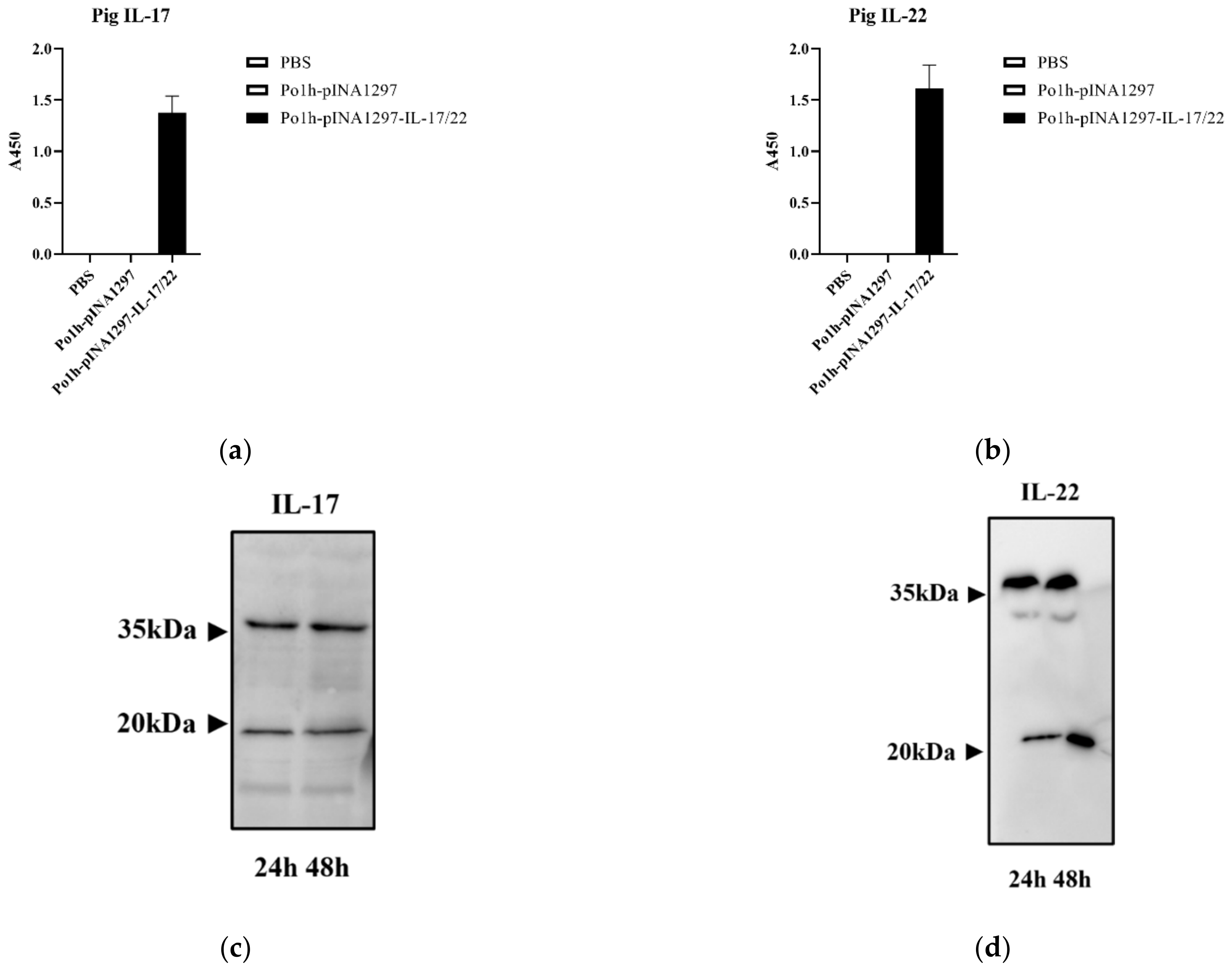 Biology 11 01747 g002 Biology 11 01747 g002
