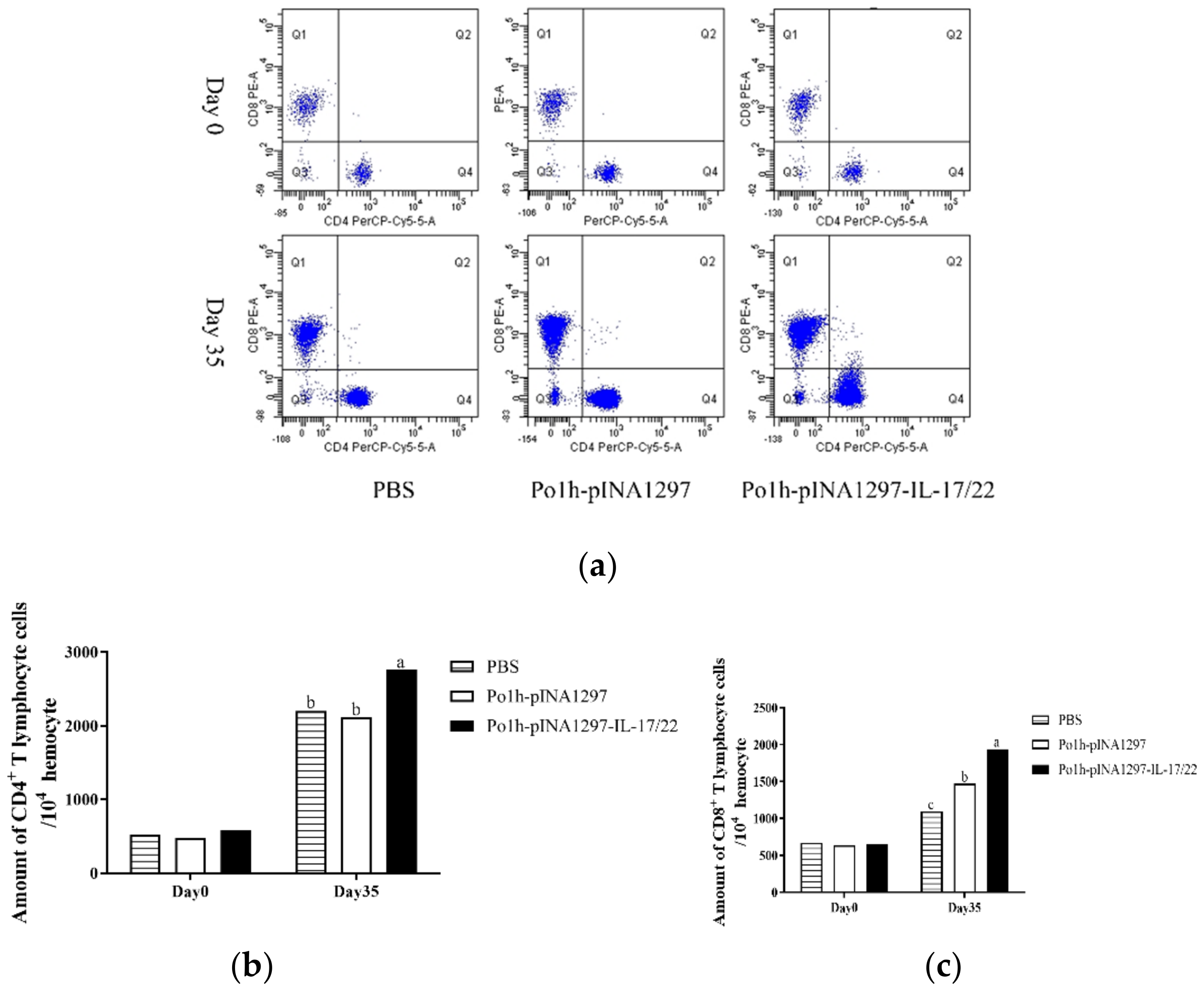 Biology 11 01747 g006 Biology 11 01747 g006