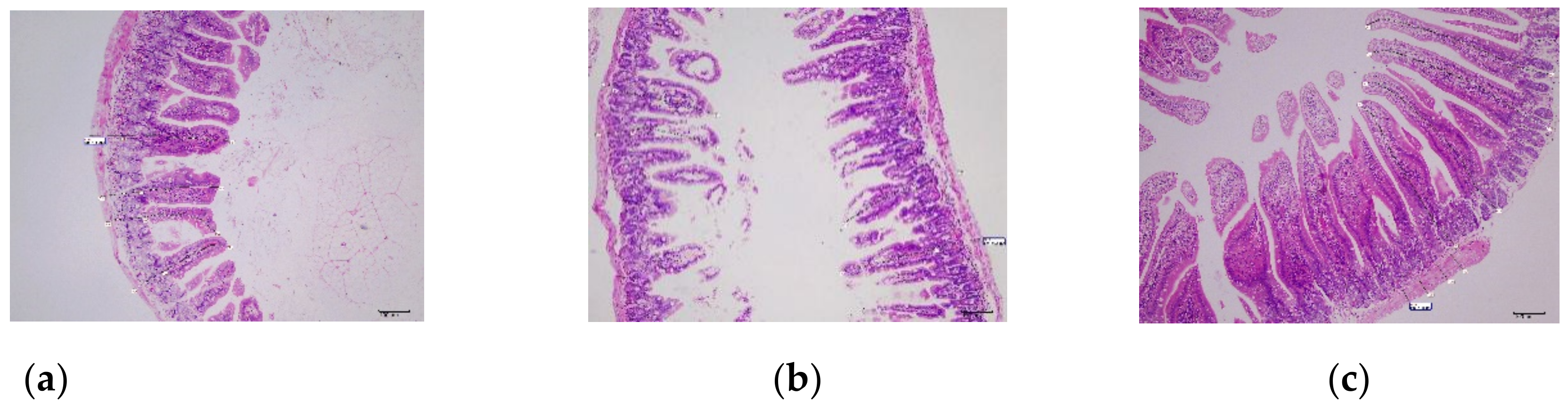 Biology 11 01747 g009a Biology 11 01747 g009a