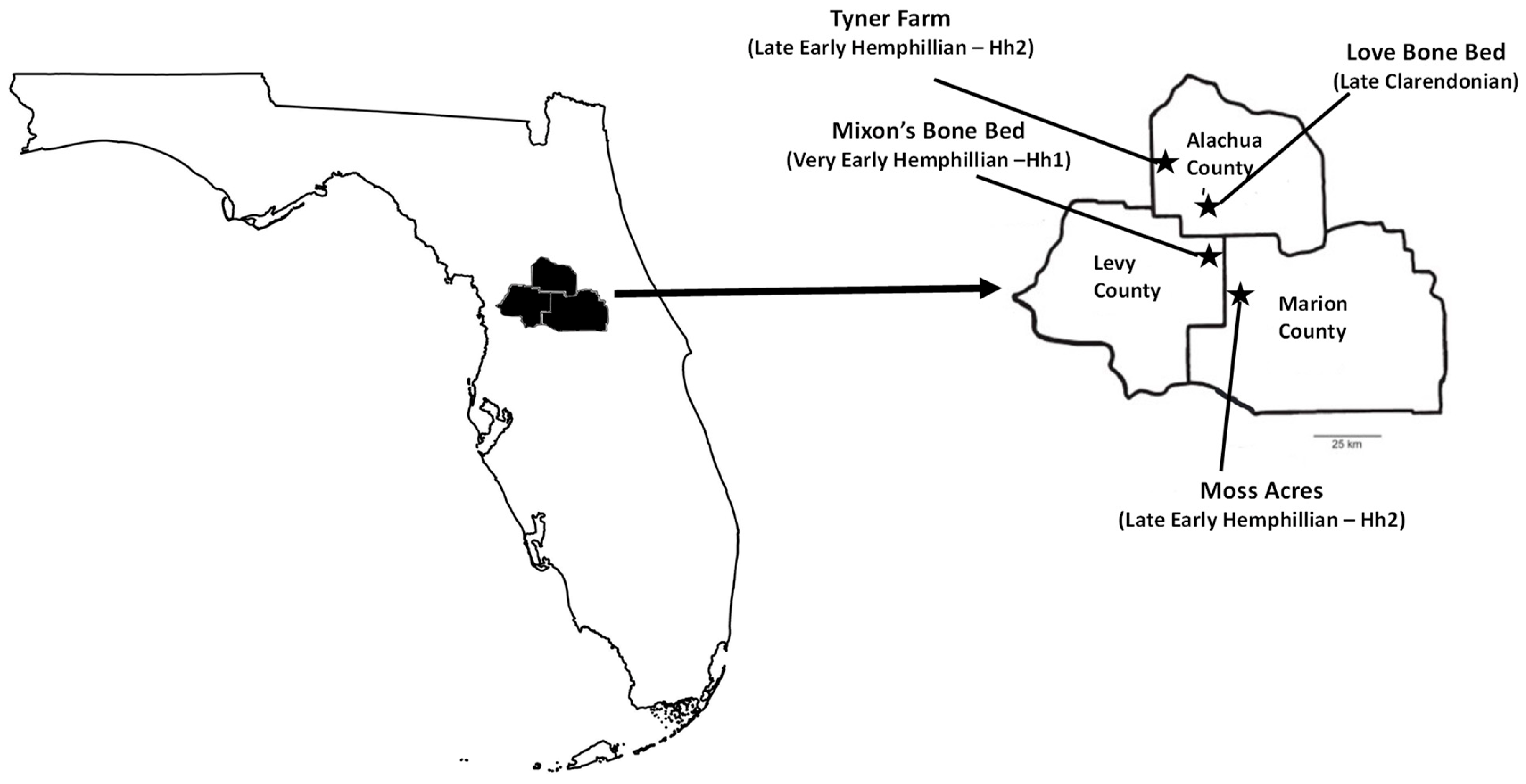 Biology 11 01748 g002