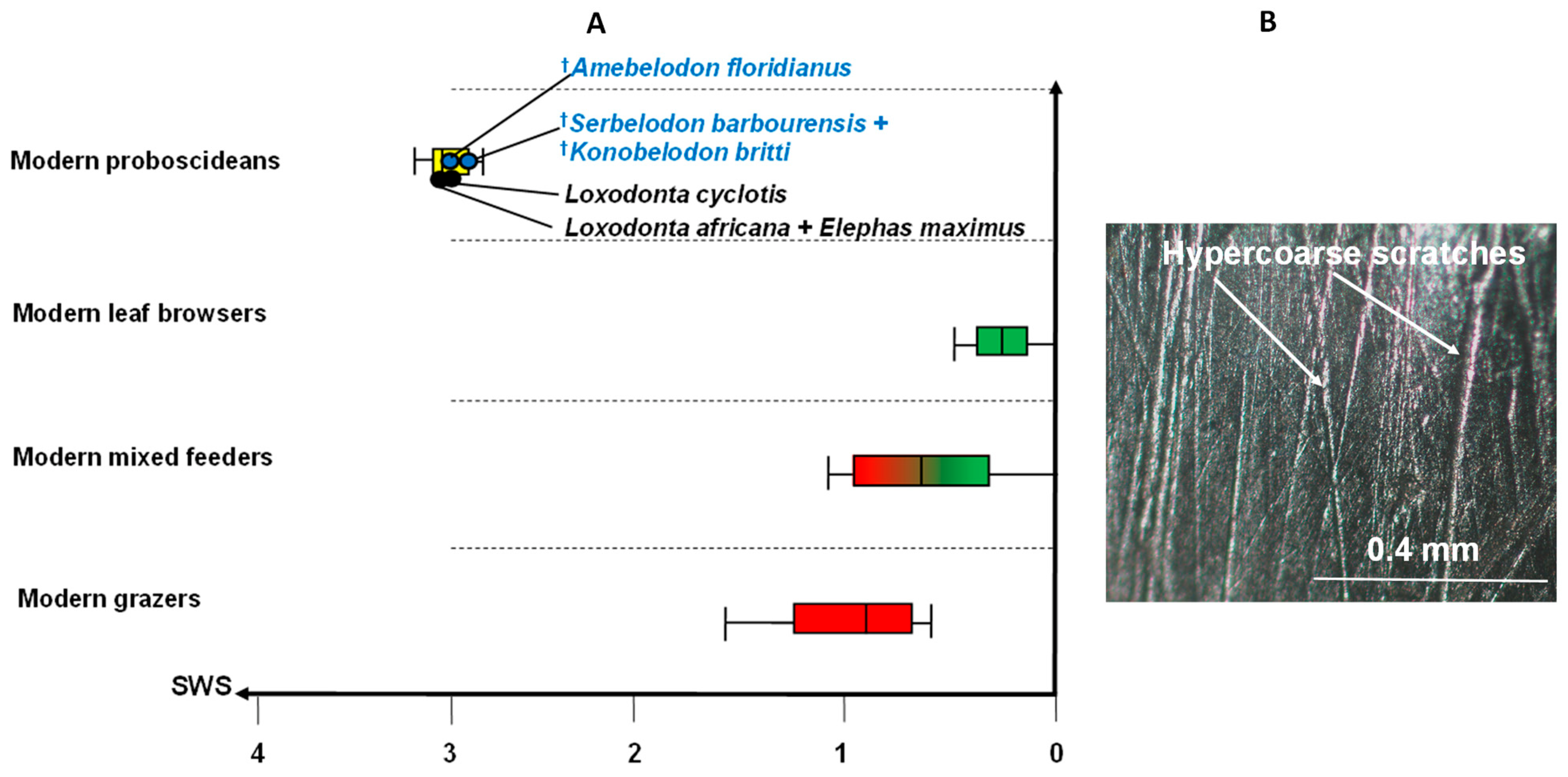 Biology 11 01748 g006