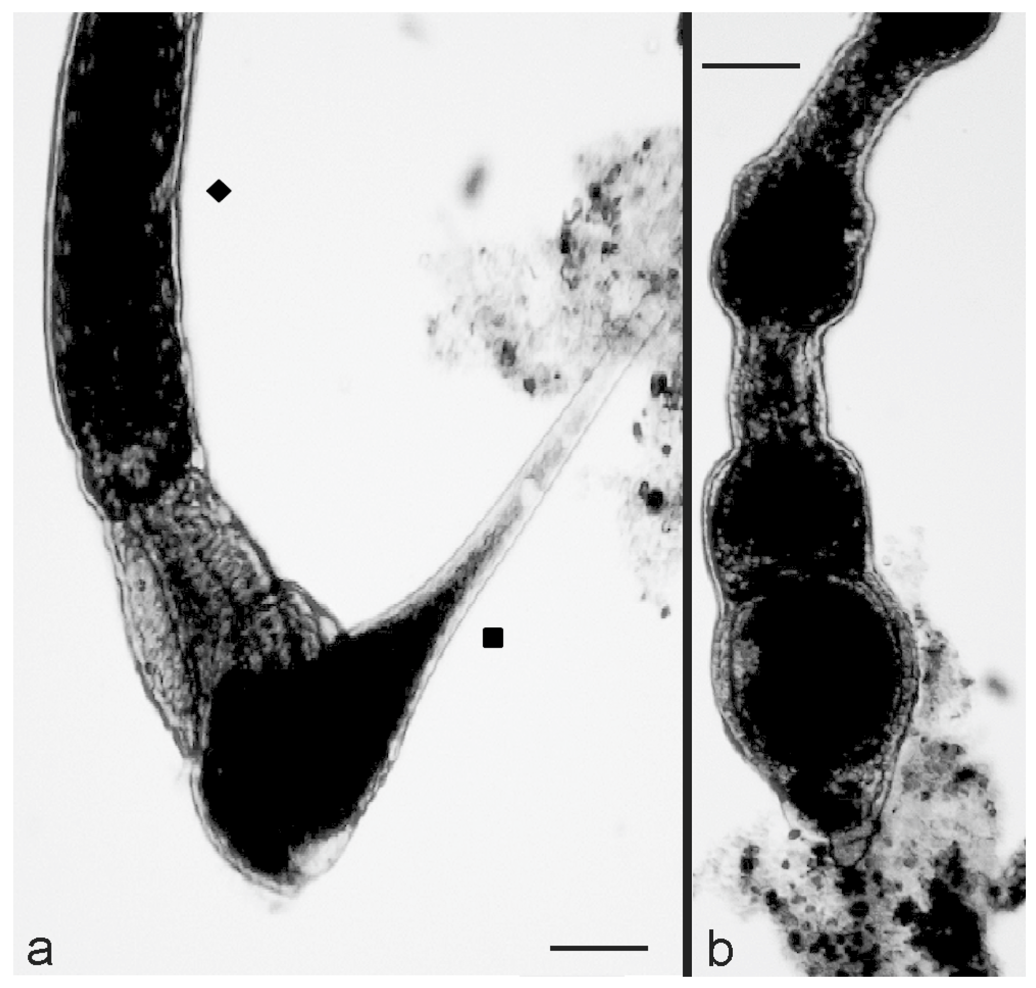Biology 11 01749 g005