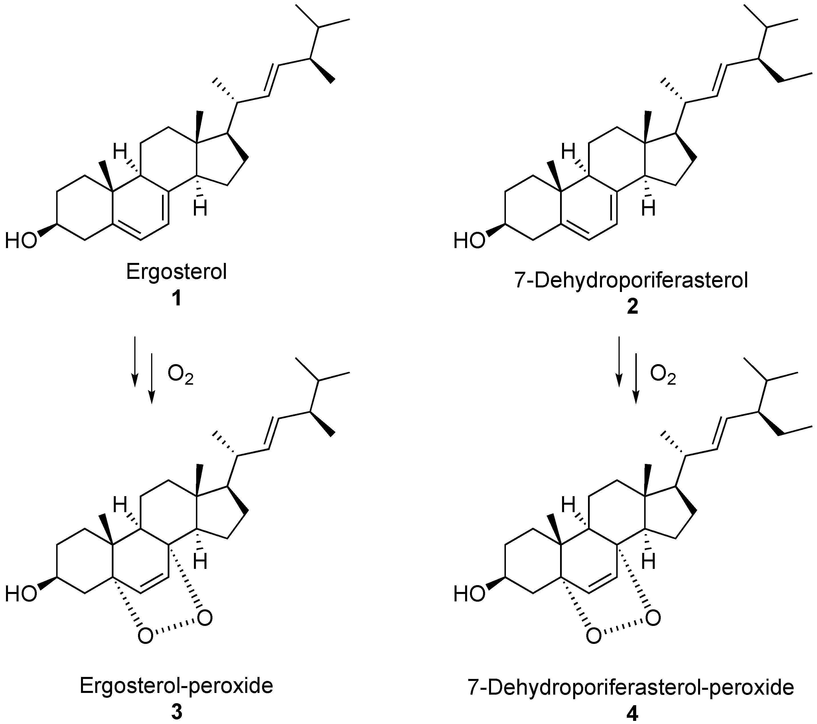 Biology 11 01749 g009