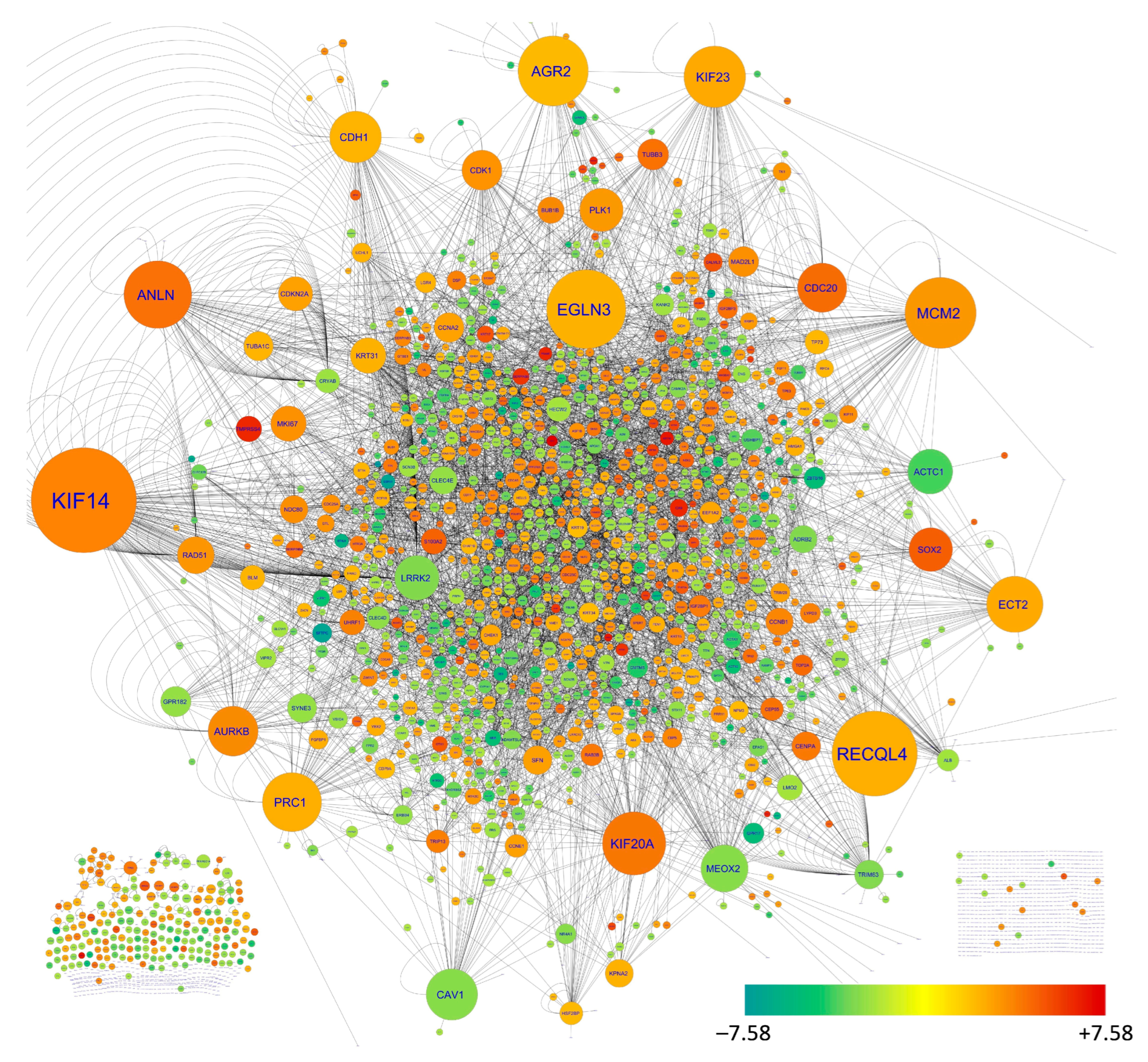 Biology 11 01752 g002 Biology 11 01752 g002