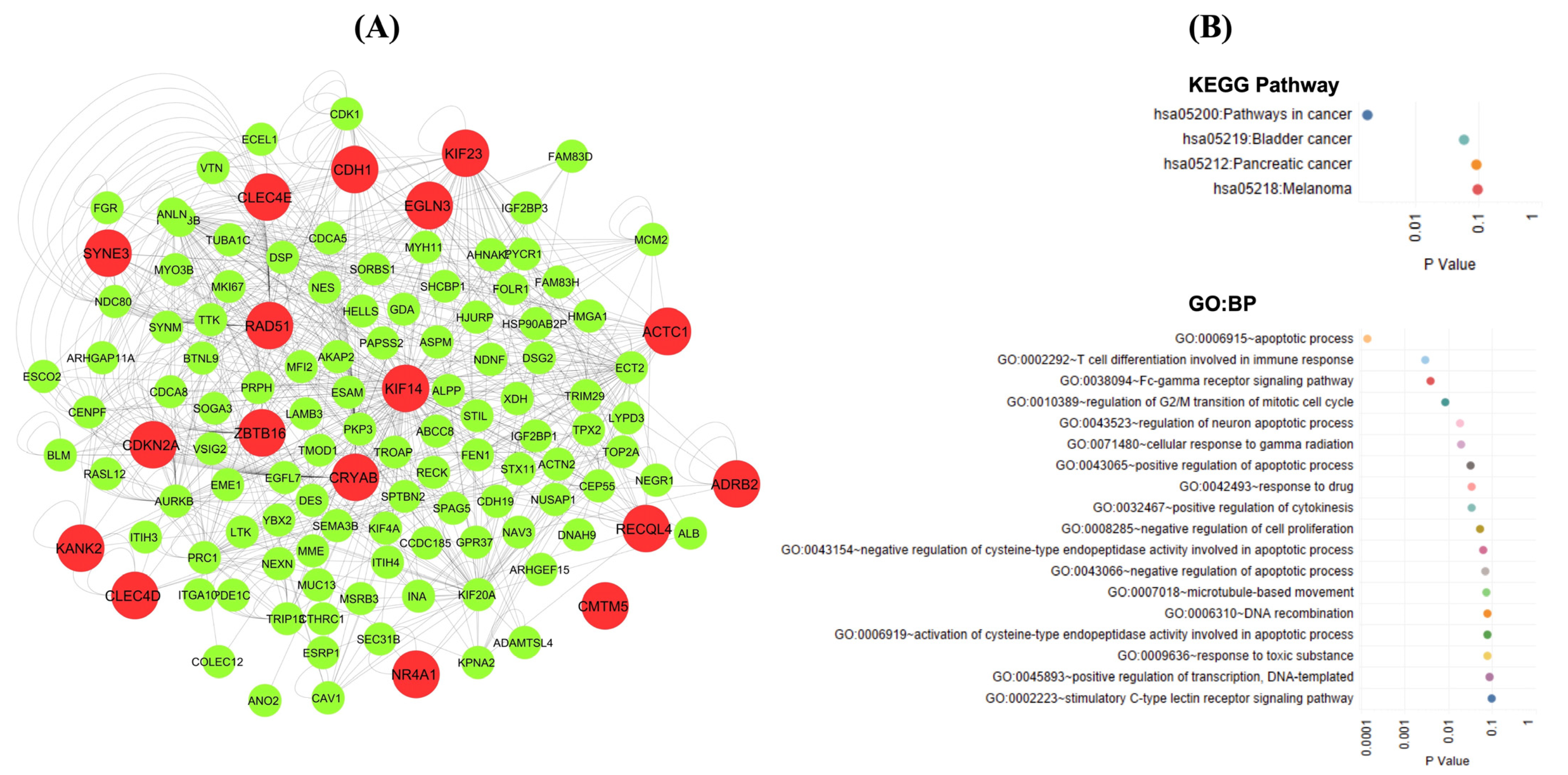 Biology 11 01752 g005 Biology 11 01752 g005