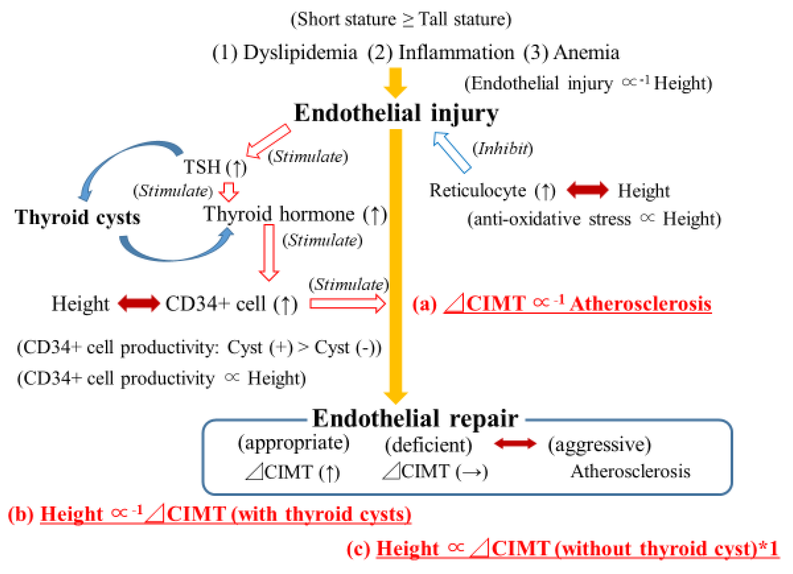 Biology 11 01756 g001