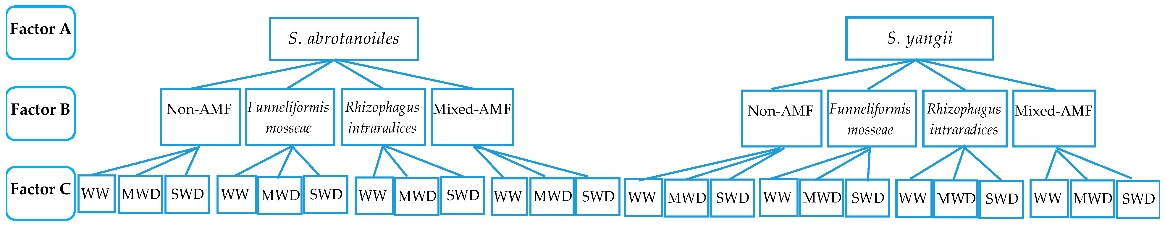 Biology 11 01757 g001 Biology 11 01757 g001