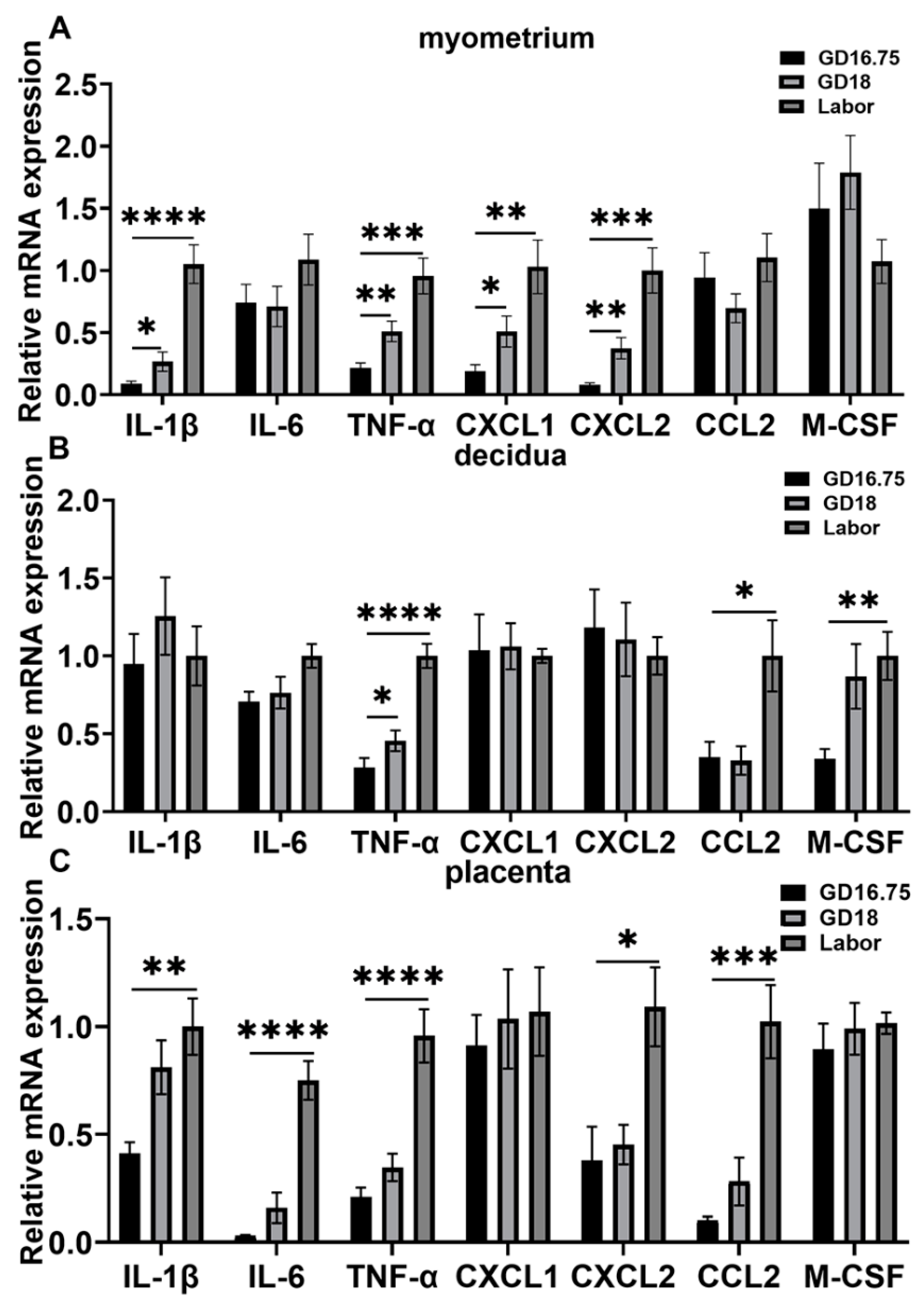 Biology 11 01759 g002