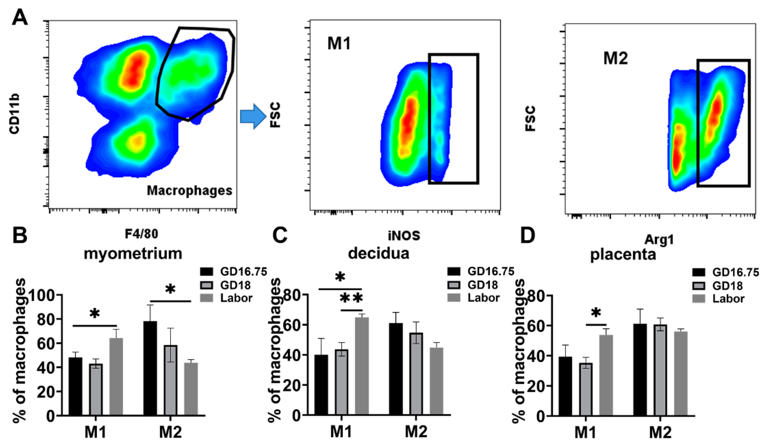 Biology 11 01759 g003