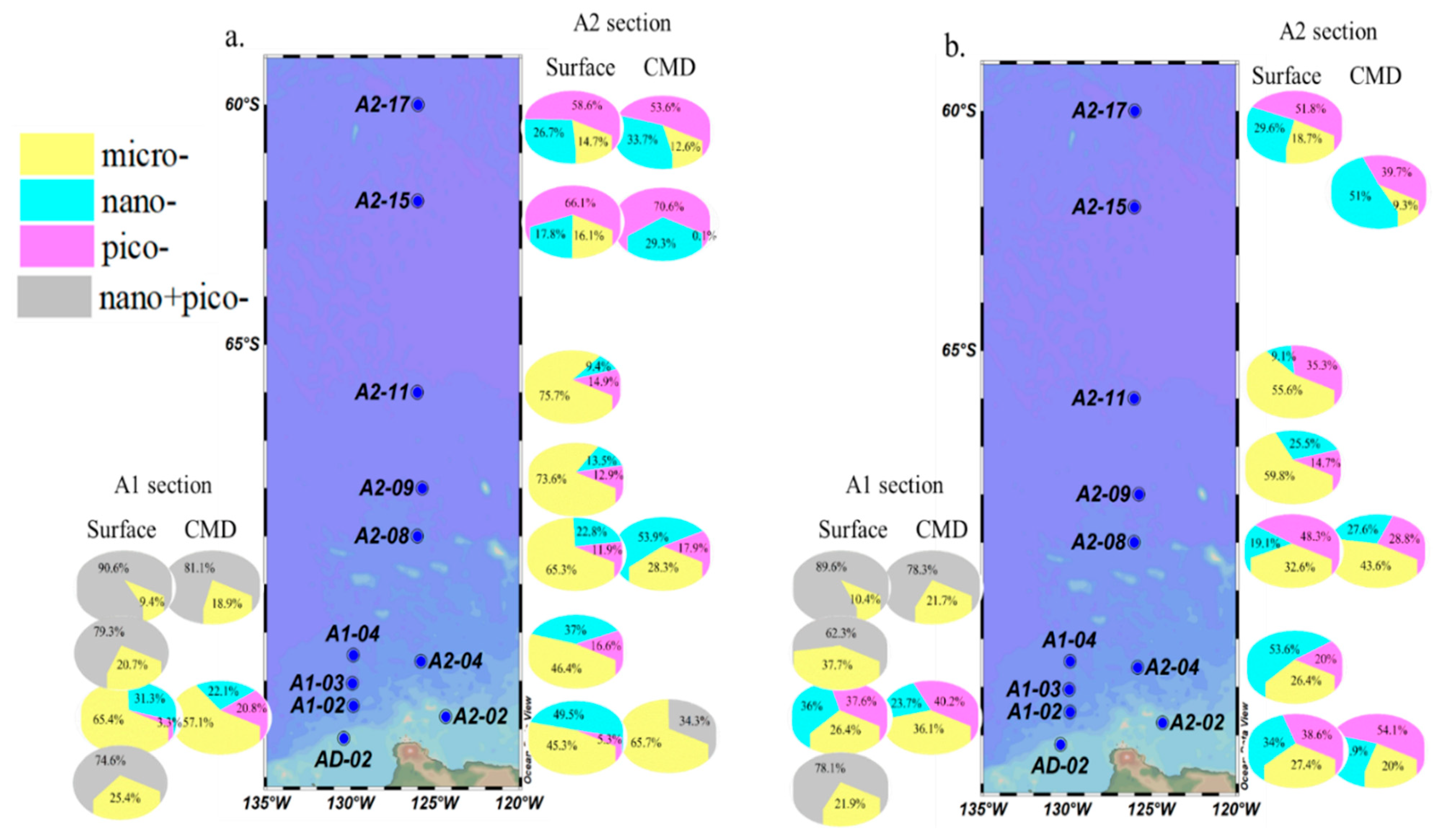 Biology 11 01760 g006
