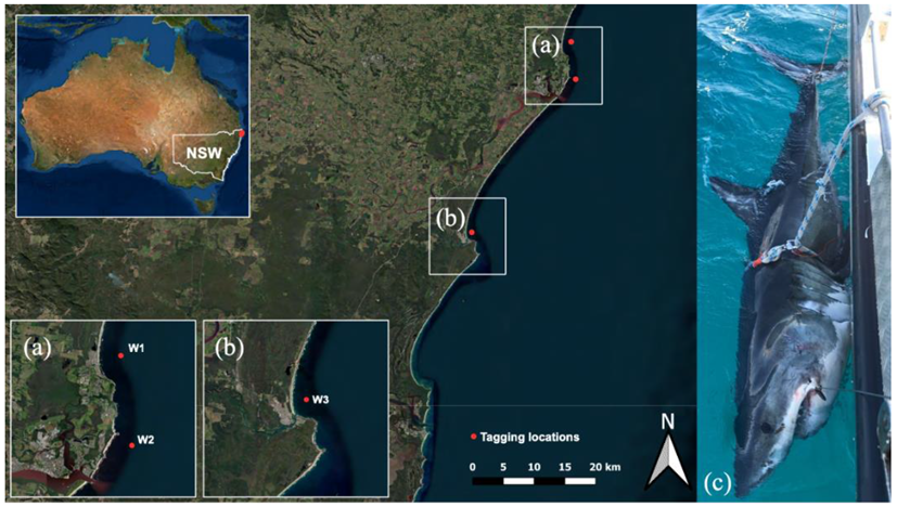 Biology 11 01762 g001