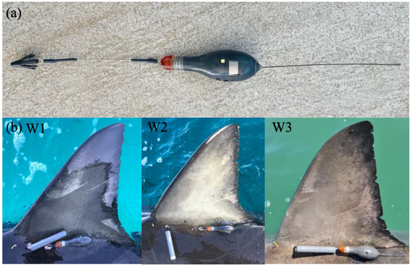 Biology 11 01762 g002