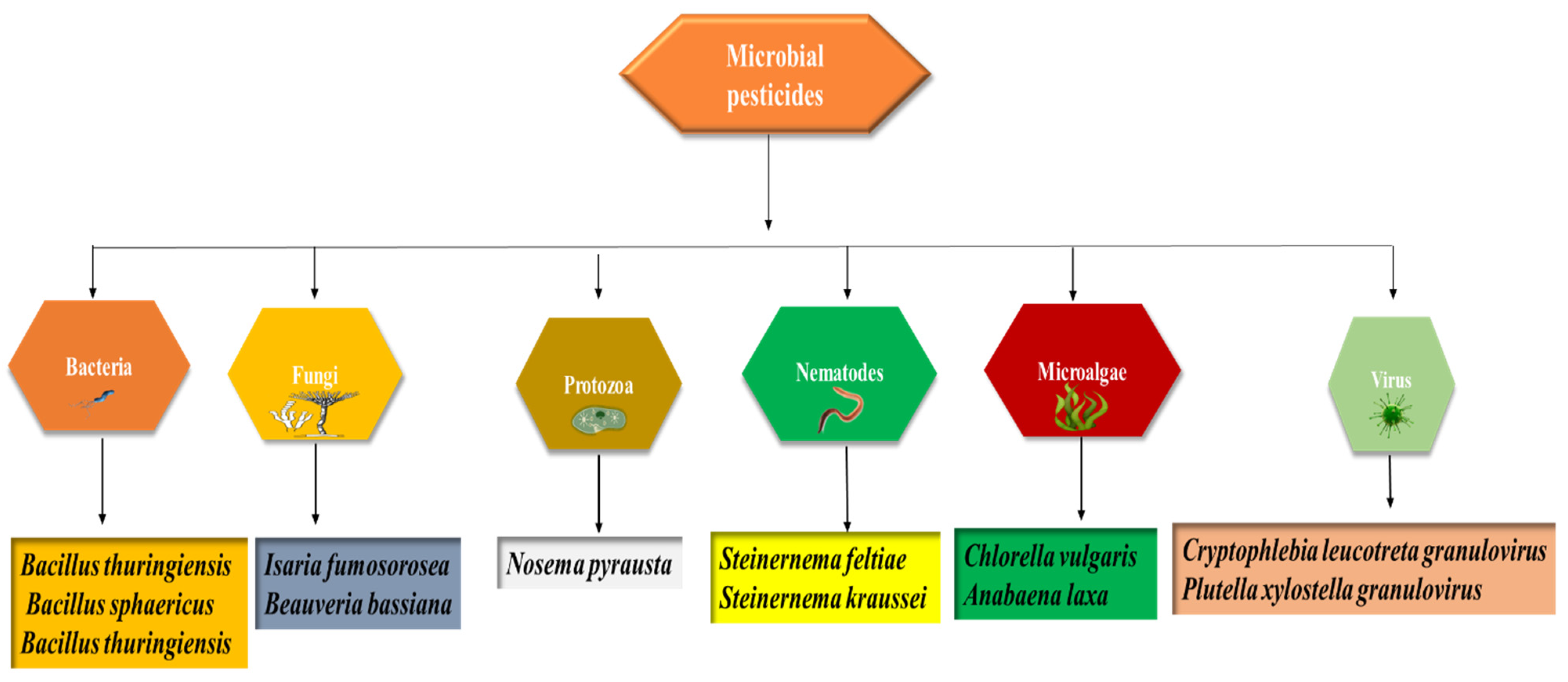 Biology 11 01763 g001