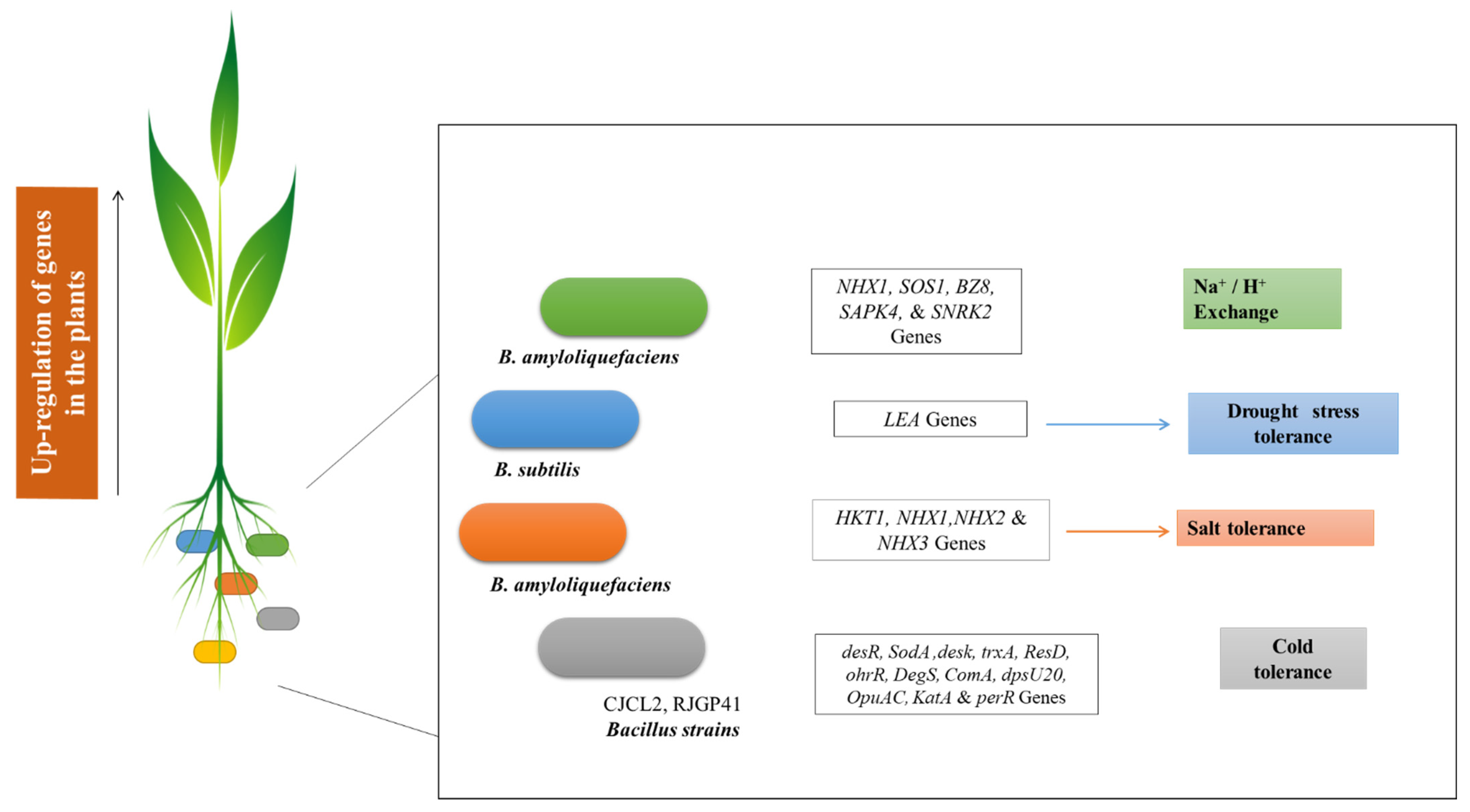 Biology 11 01763 g003
