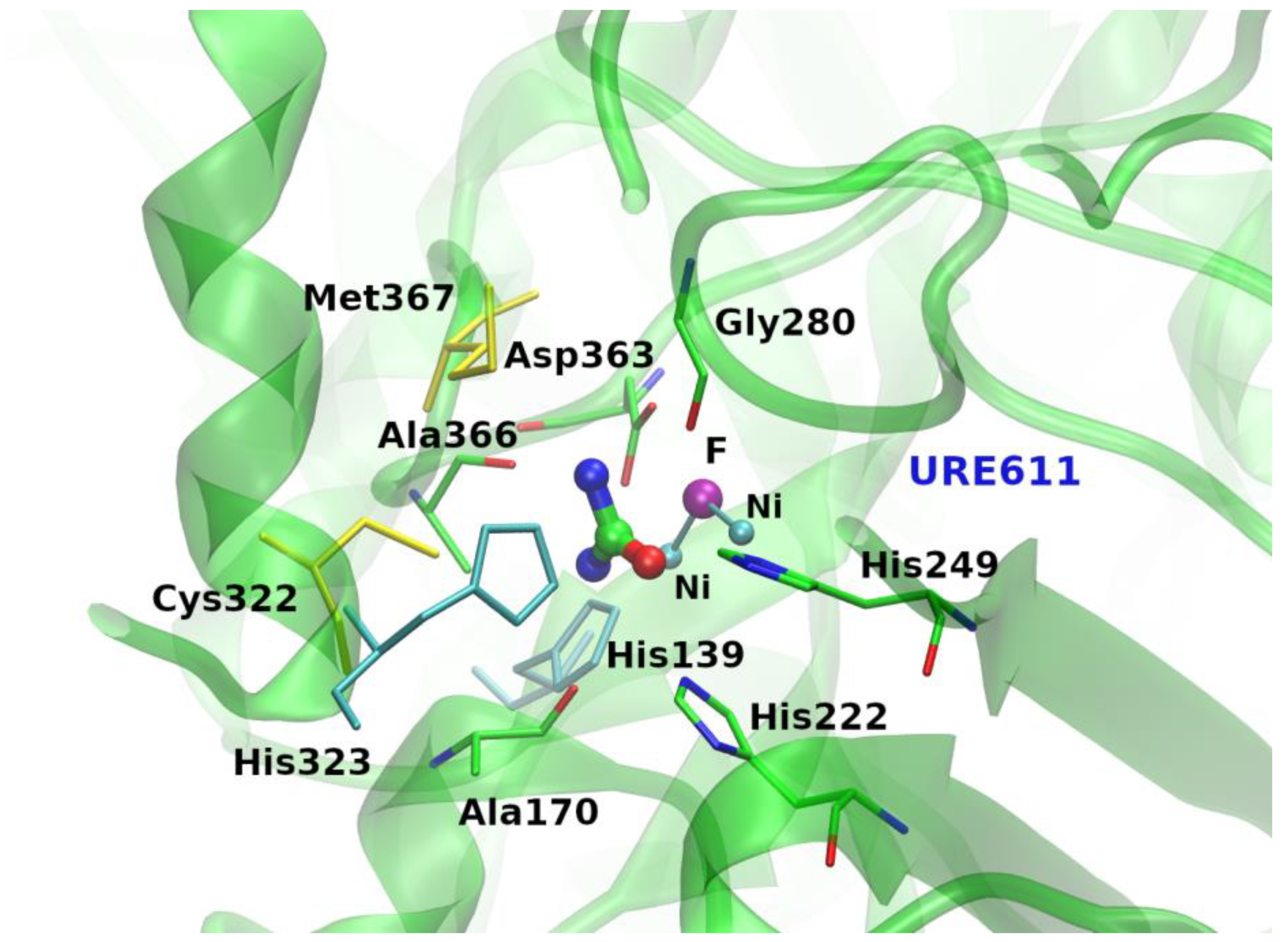 Biology 11 01764 g002 Biology 11 01764 g002