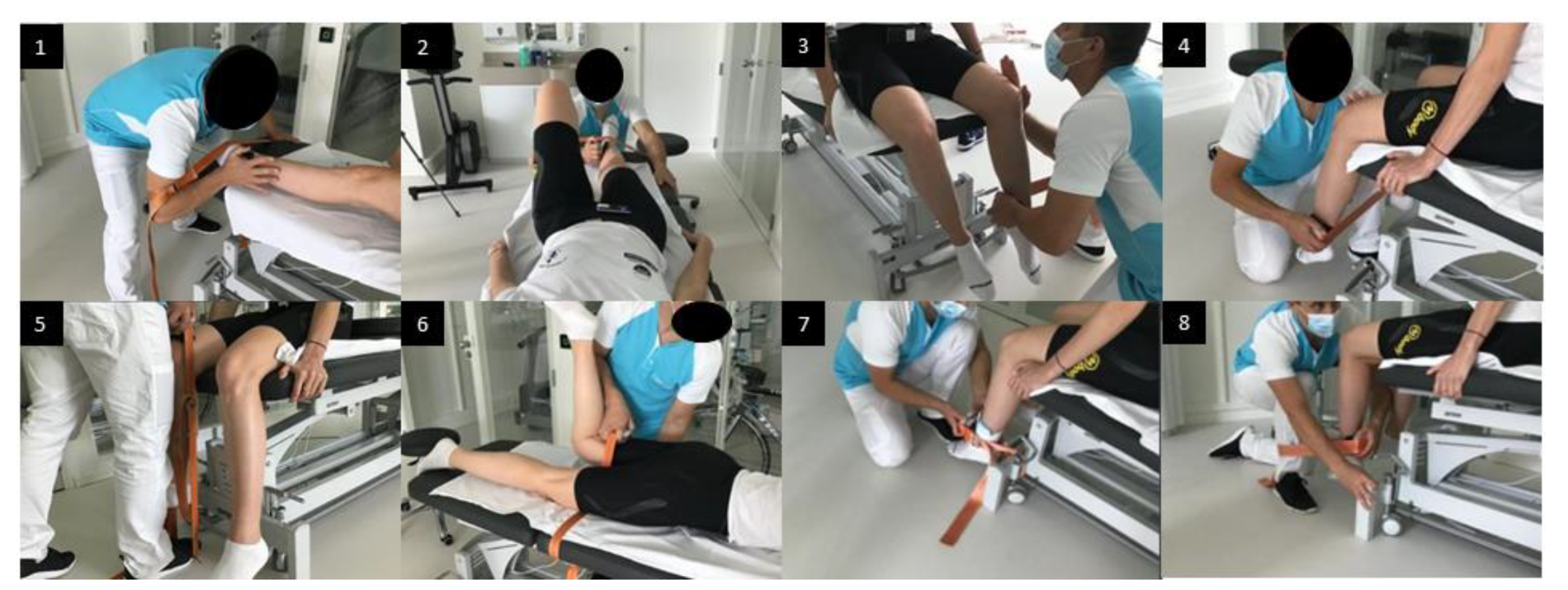 Biology 11 01765 g001