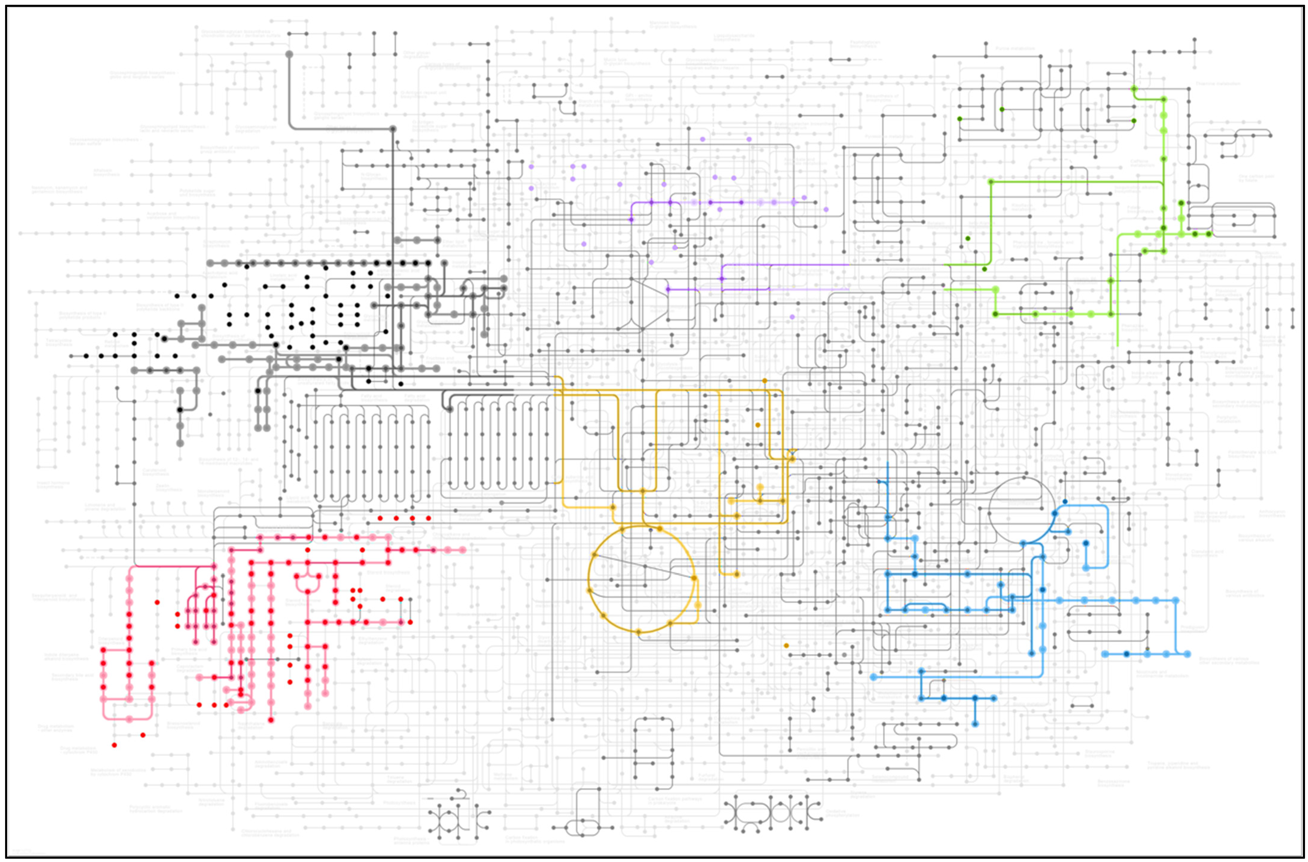 Biology 11 01770 g003