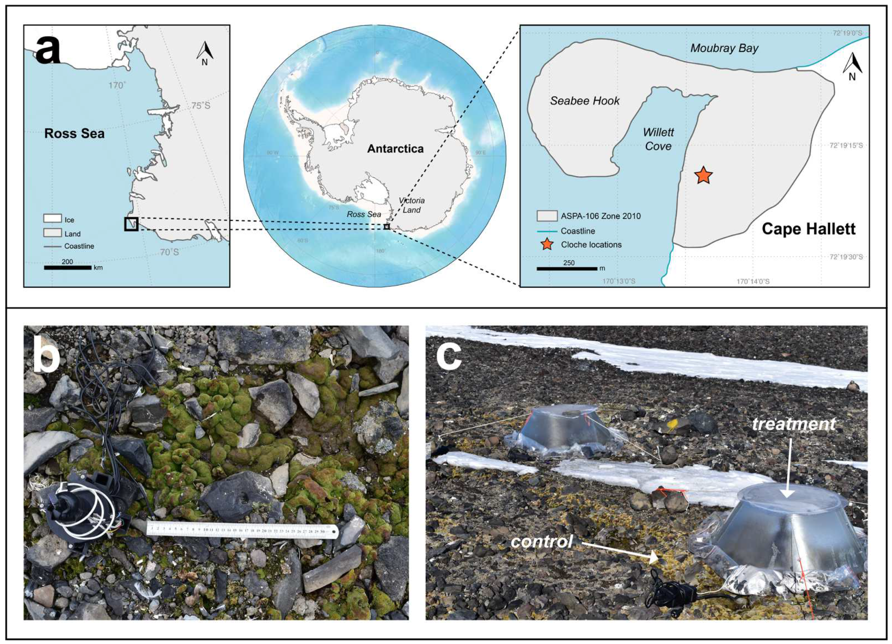 Biology 11 01773 g001 Biology 11 01773 g001