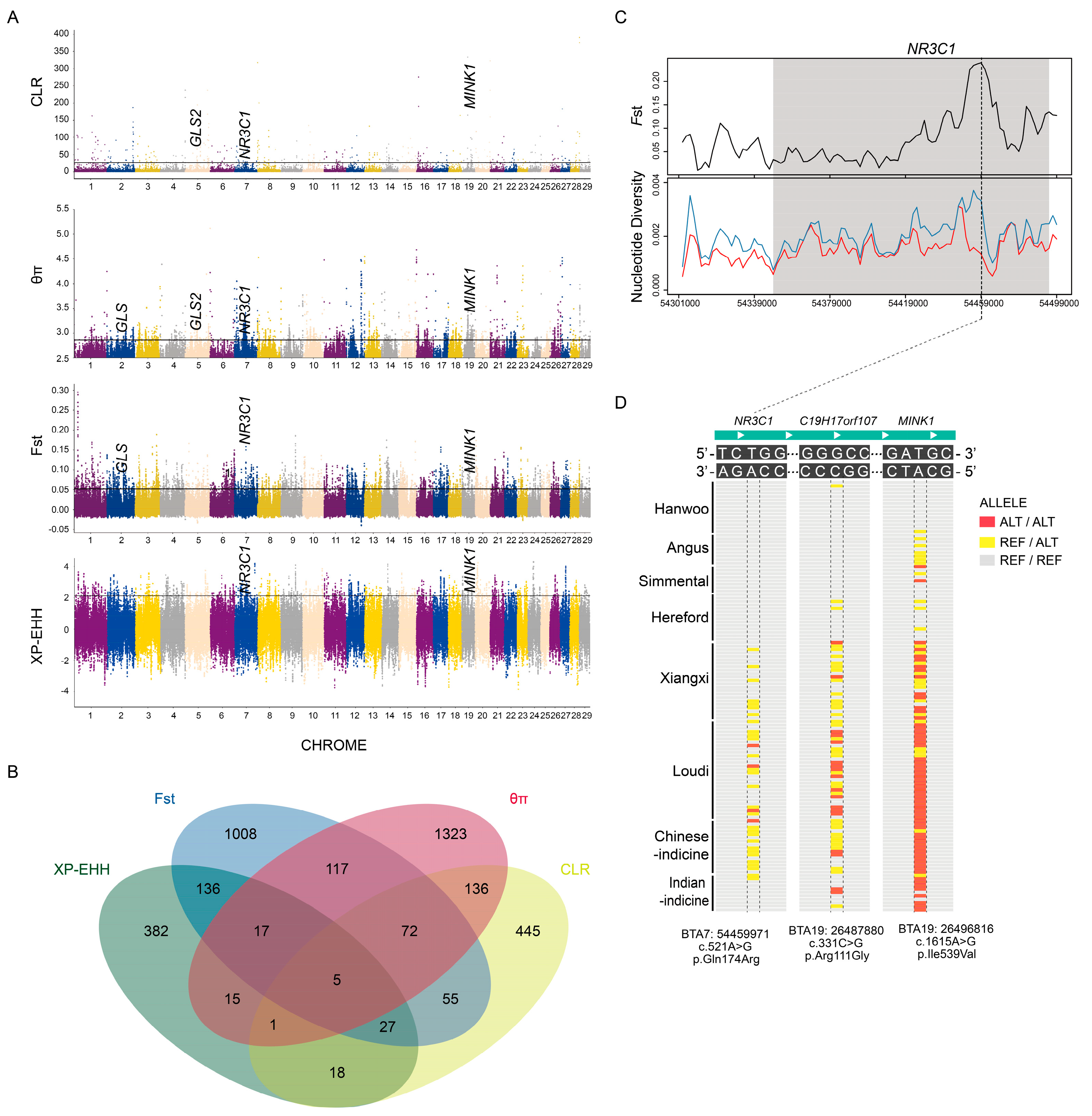 Biology 11 01775 g004