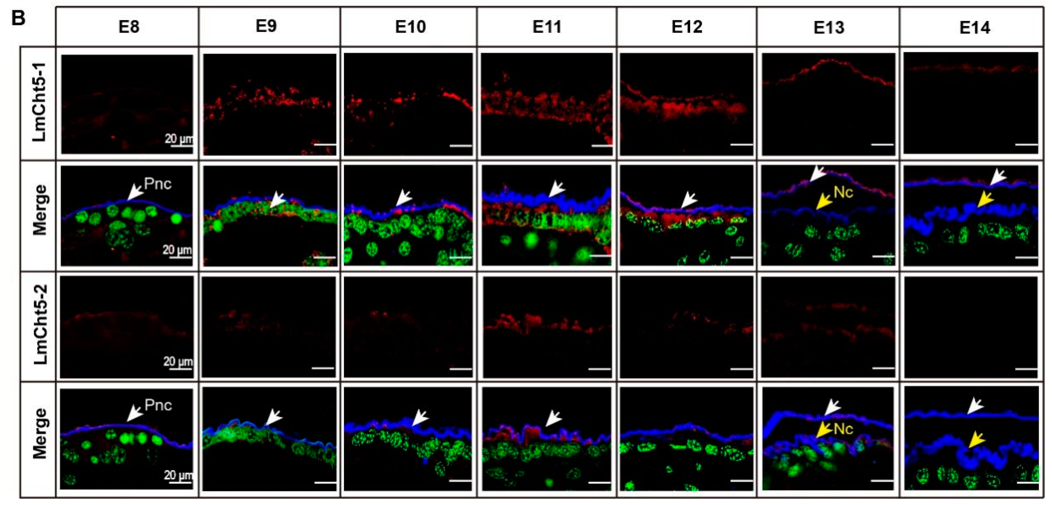 Biology 11 01778 g003b