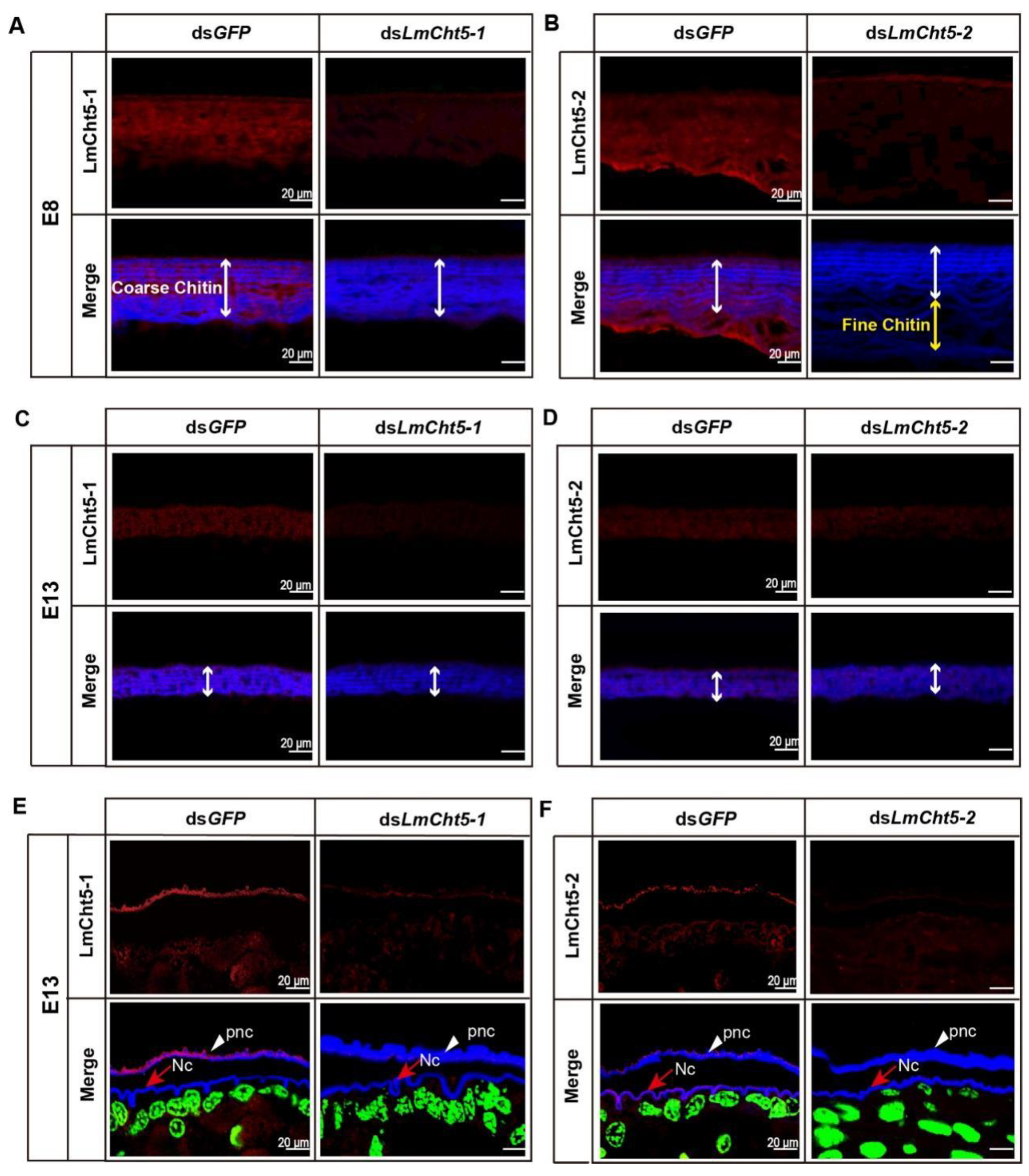 Biology 11 01778 g004