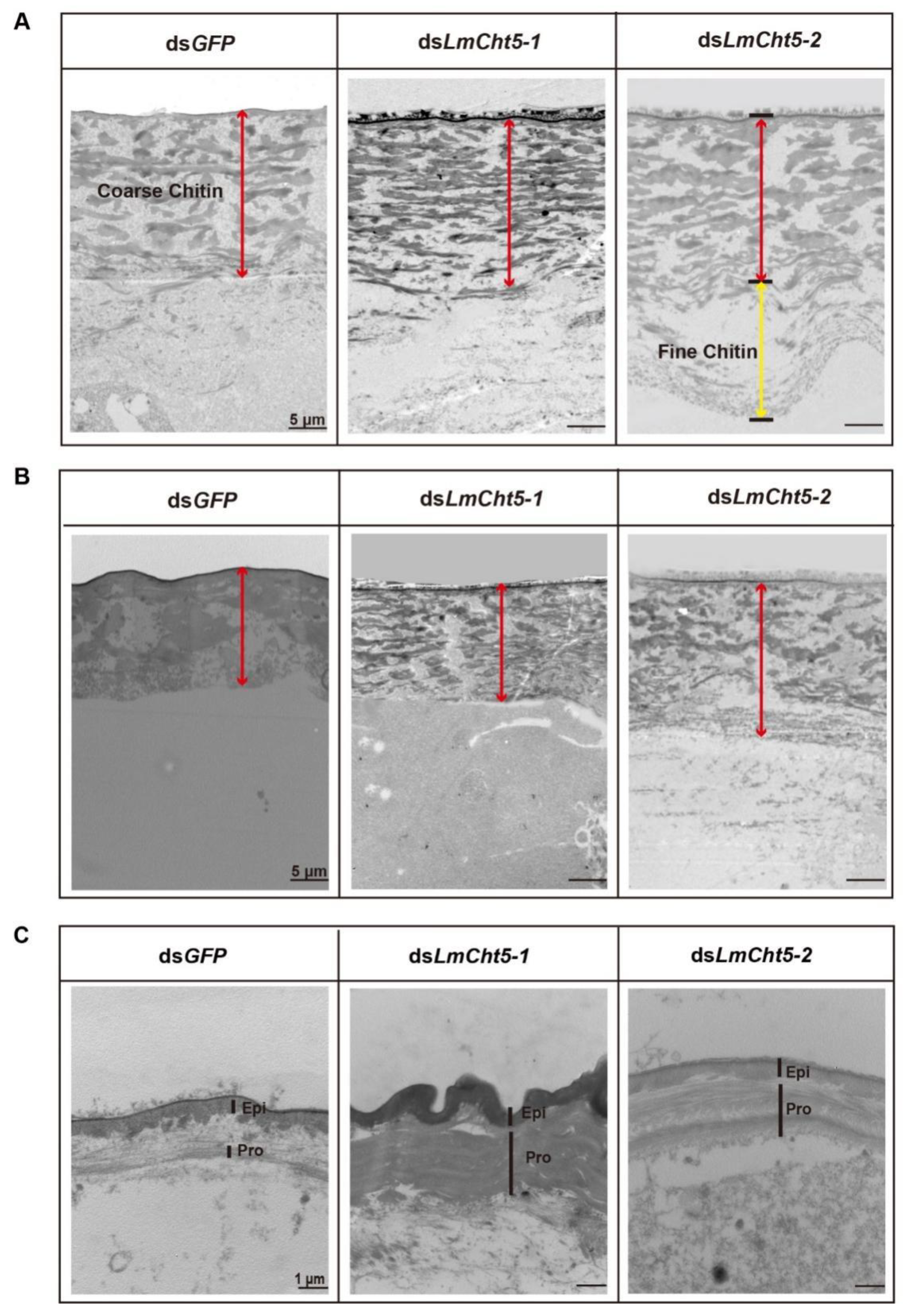 Biology 11 01778 g005