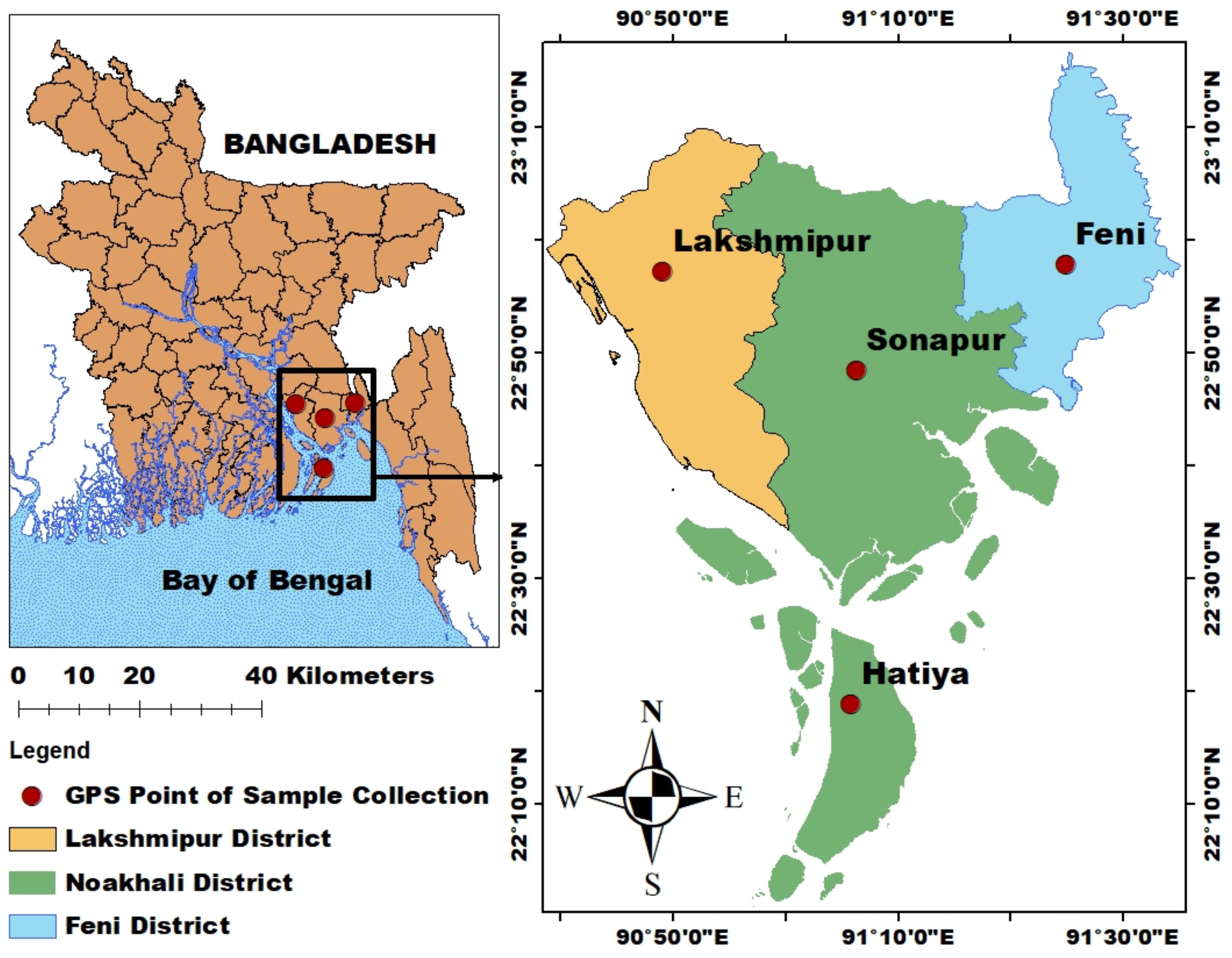 Biology 11 01780 g001 Biology 11 01780 g001