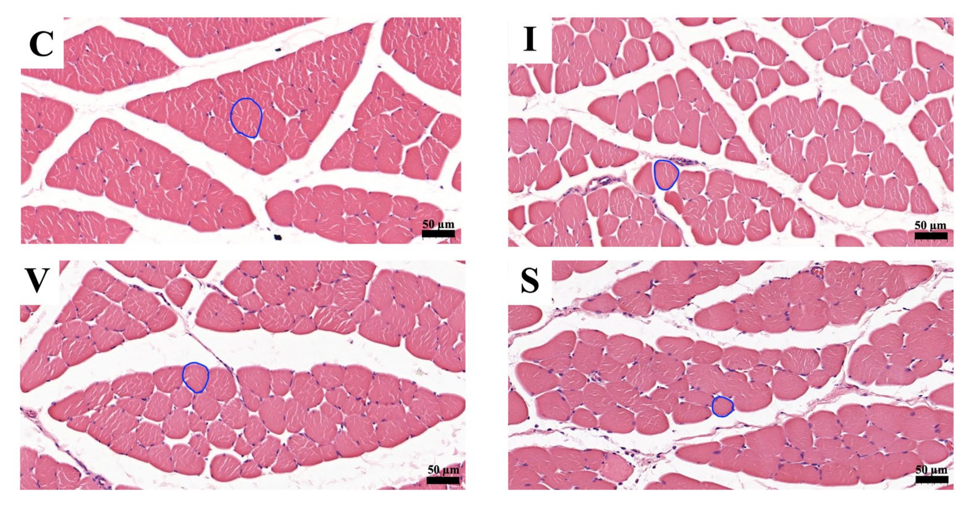 Biology 11 01781 g003 Biology 11 01781 g003