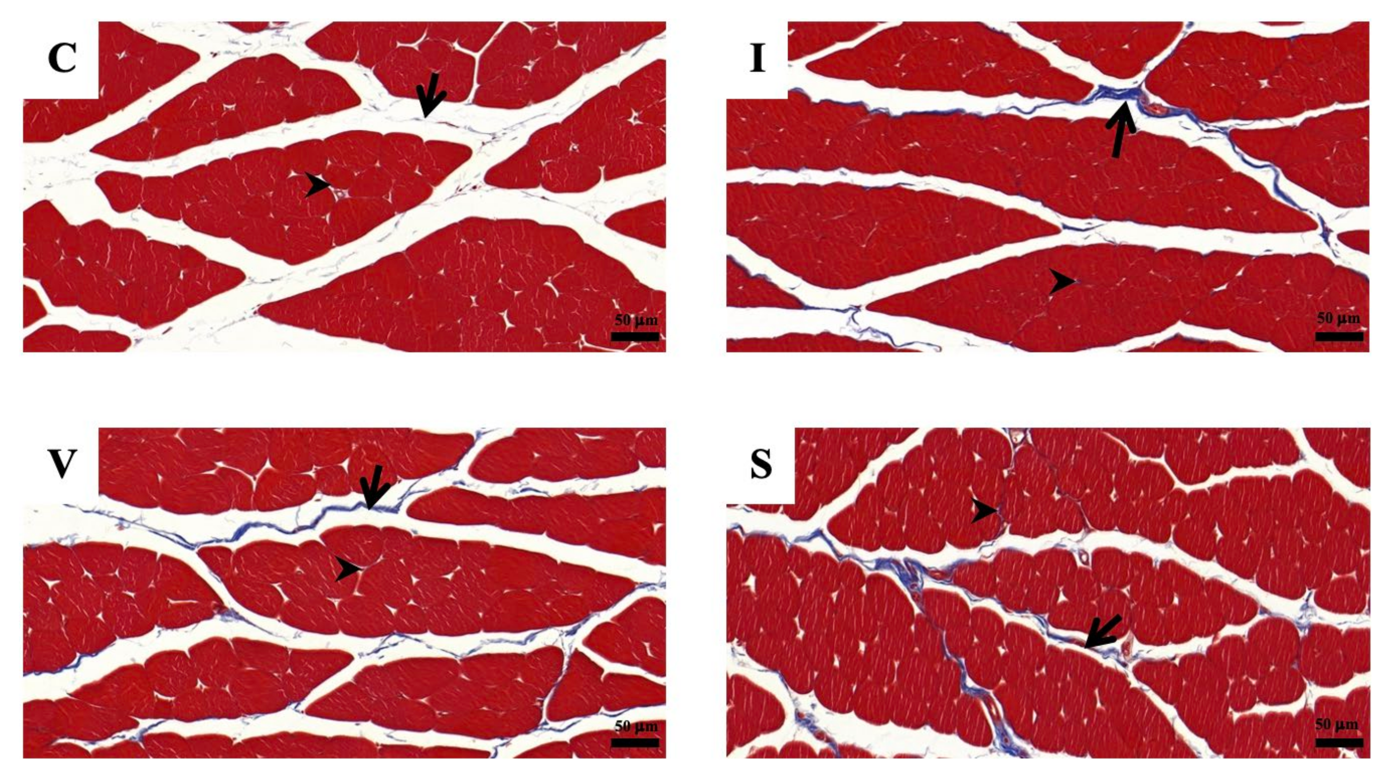 Biology 11 01781 g005 Biology 11 01781 g005