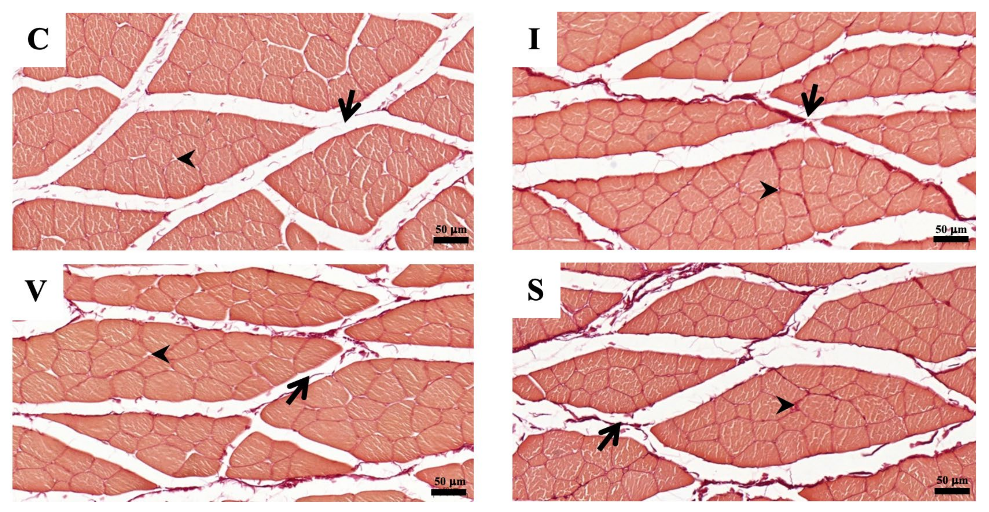 Biology 11 01781 g006 Biology 11 01781 g006