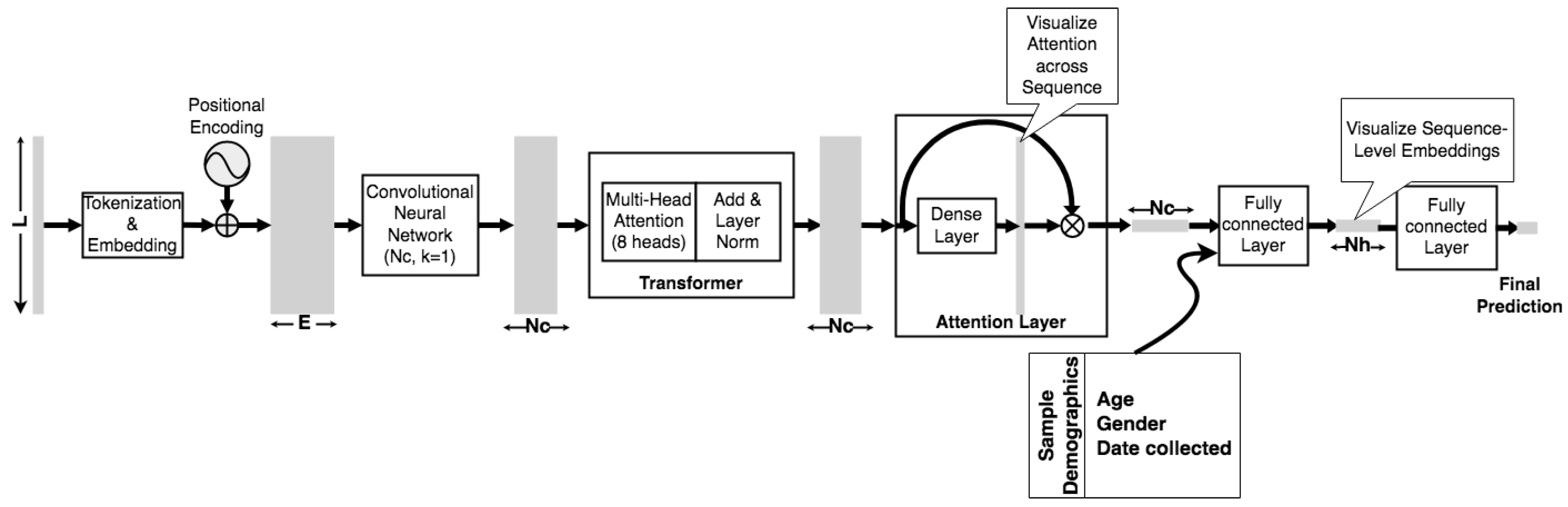 Biology 11 01786 g001