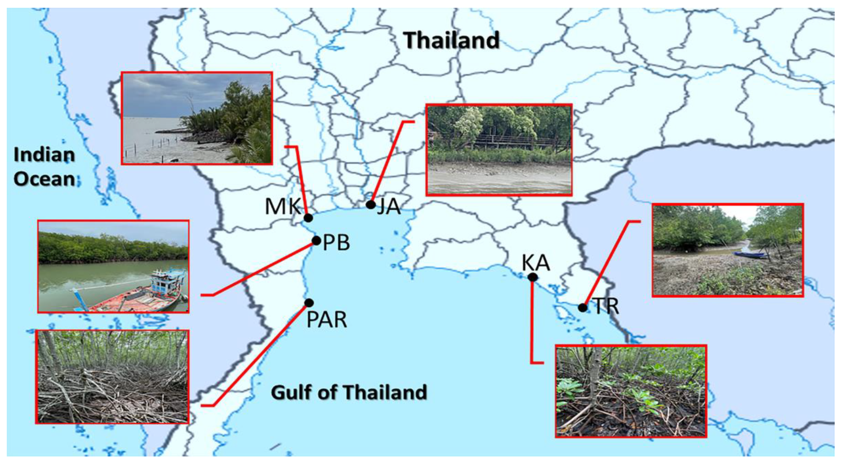 Biology 11 01787 g001 Biology 11 01787 g001