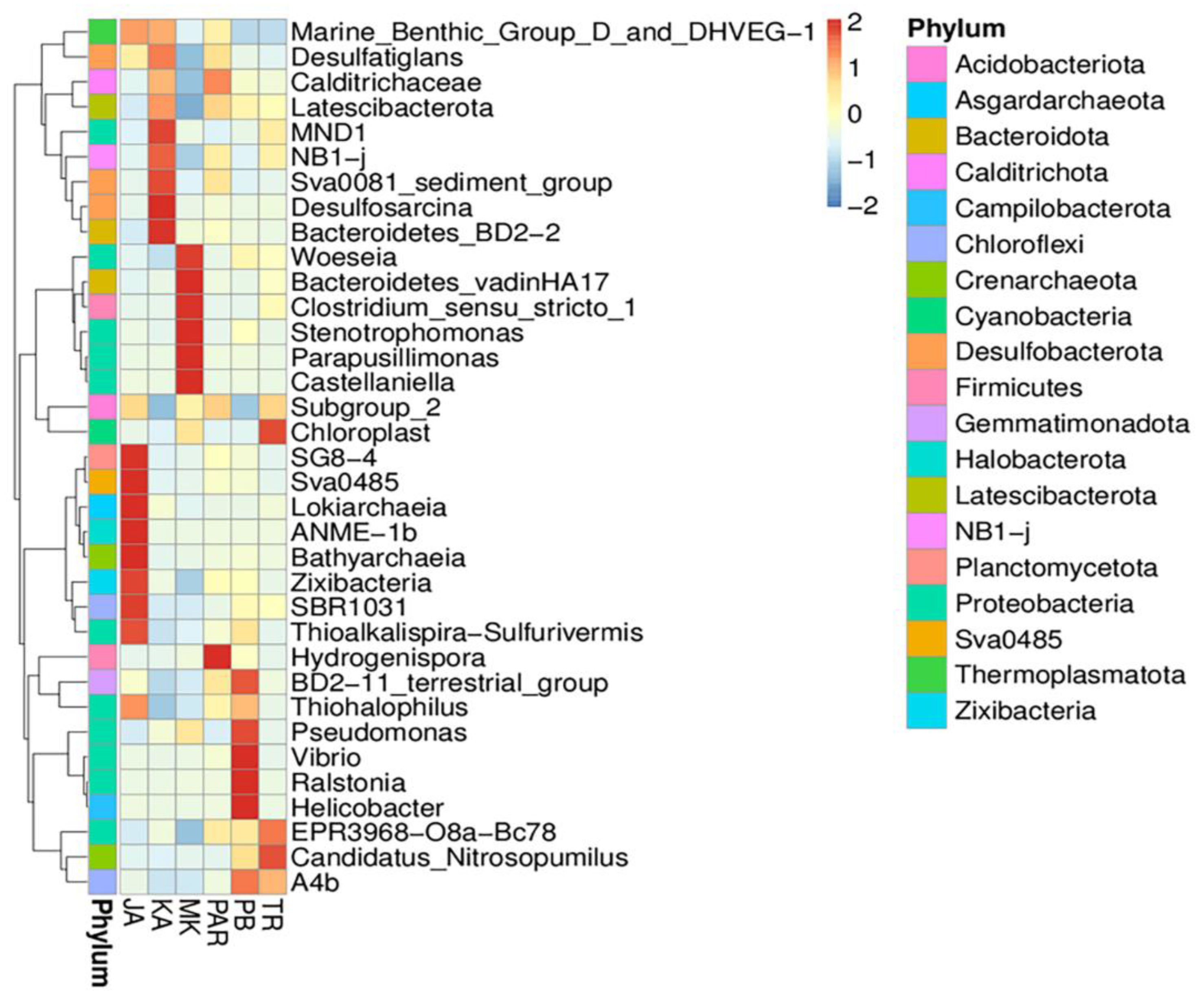 Biology 11 01787 g004 Biology 11 01787 g004