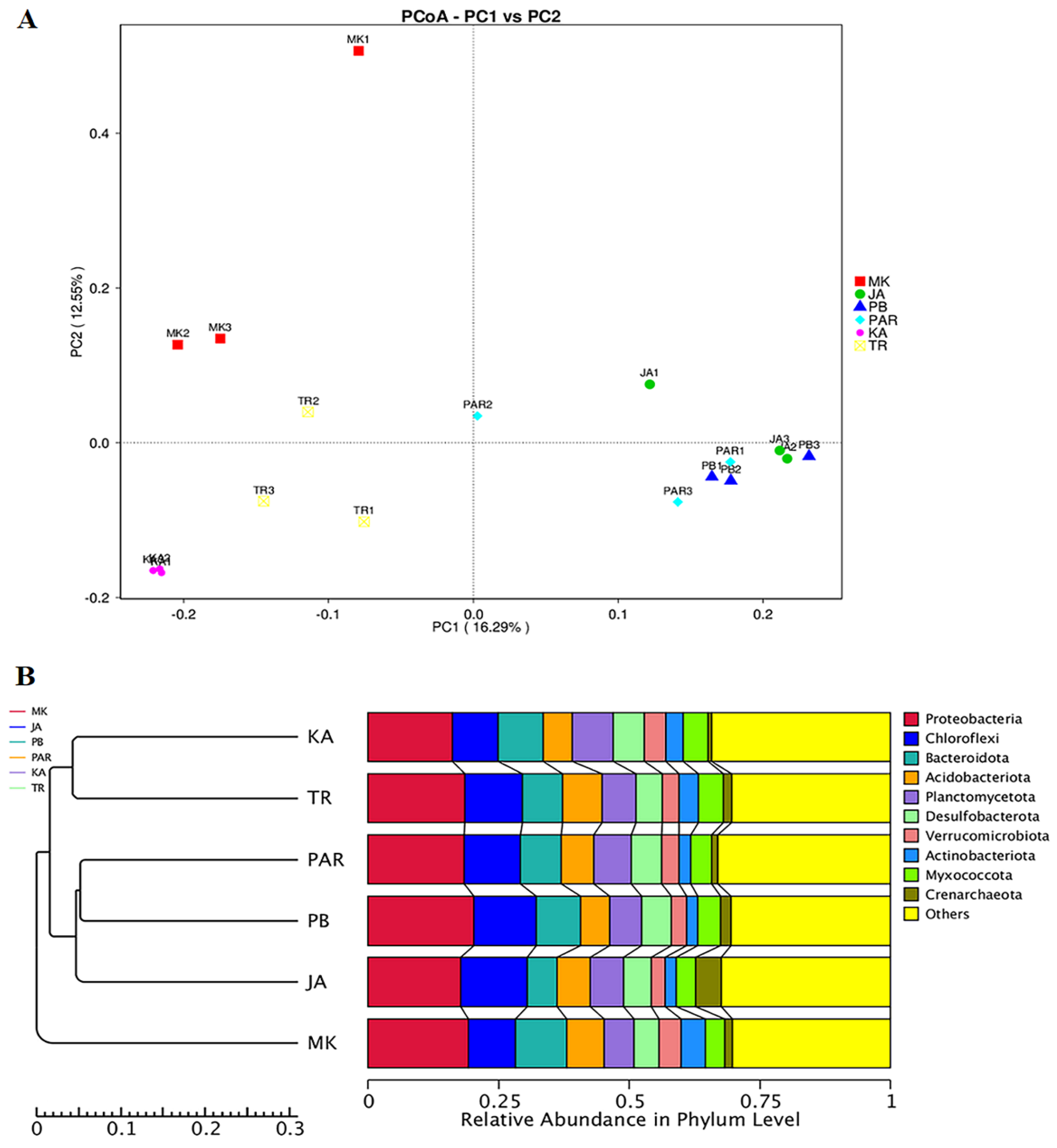 Biology 11 01787 g005 Biology 11 01787 g005