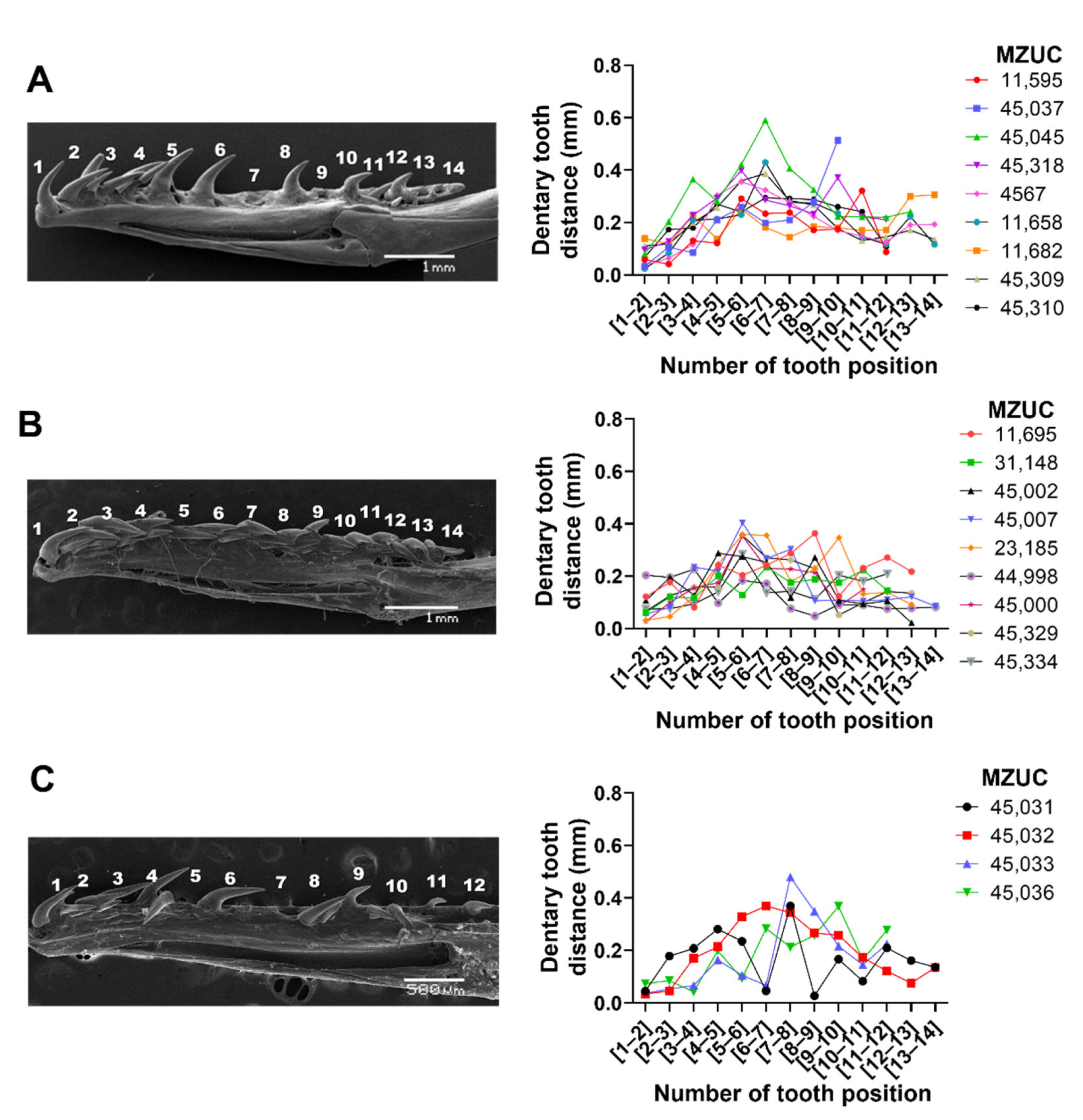 Biology 11 01788 g003 Biology 11 01788 g003