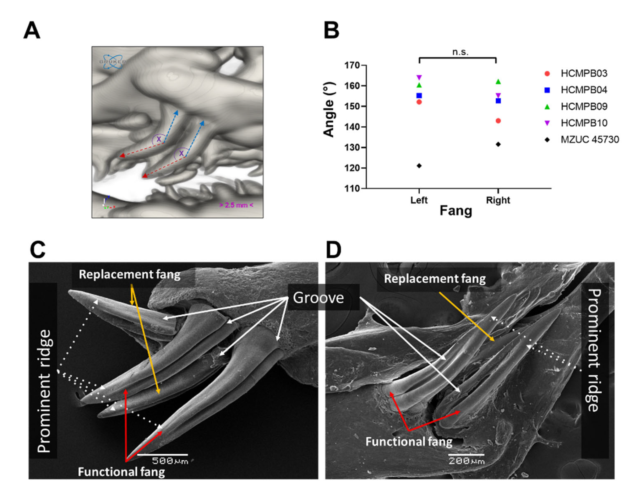 Biology 11 01788 g007 Biology 11 01788 g007