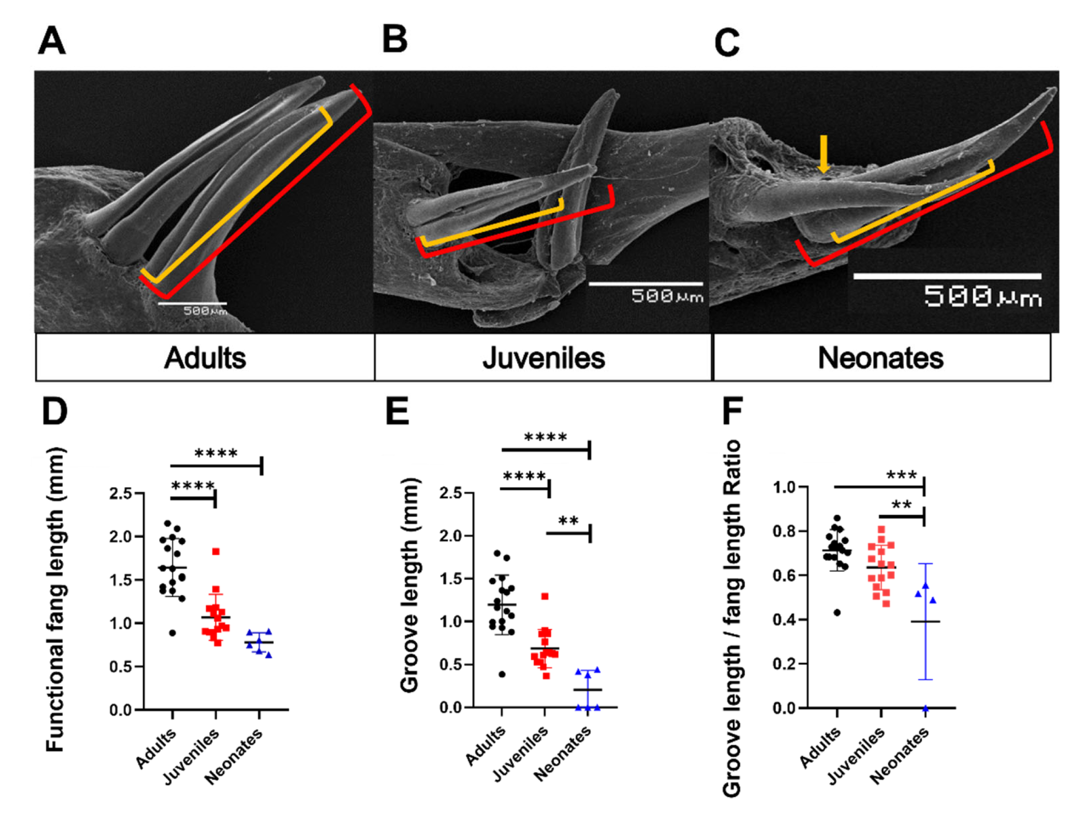 Biology 11 01788 g009 Biology 11 01788 g009