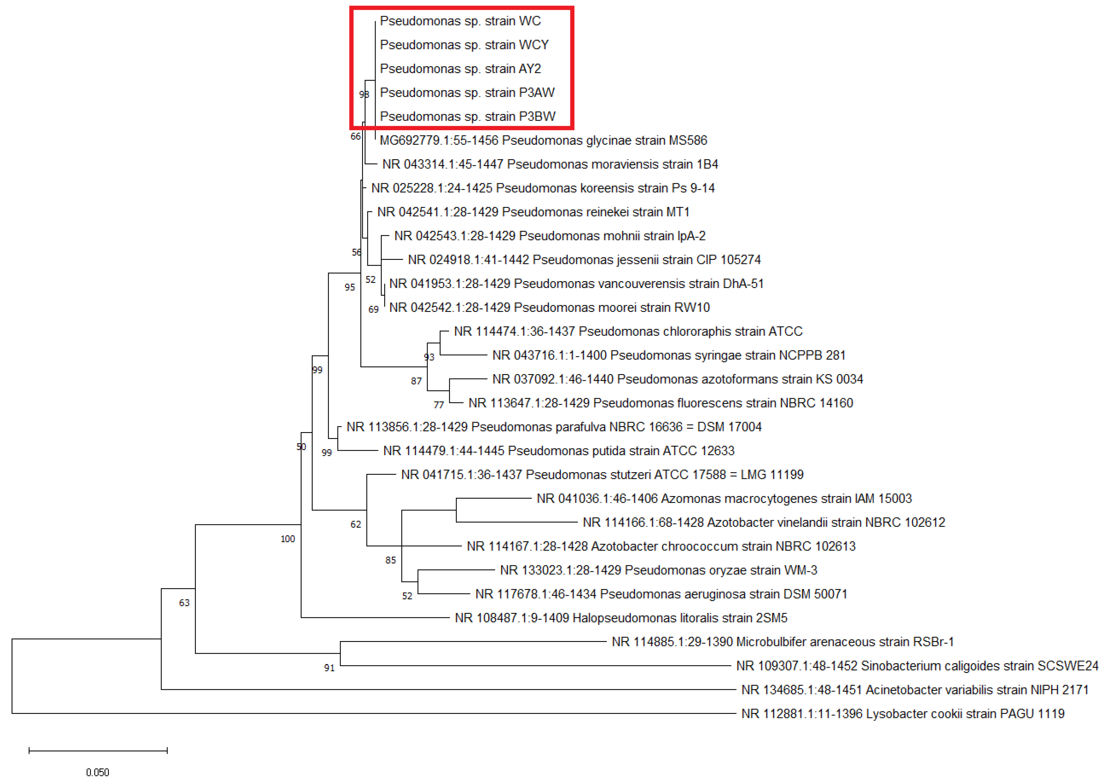 Biology 11 01790 g001